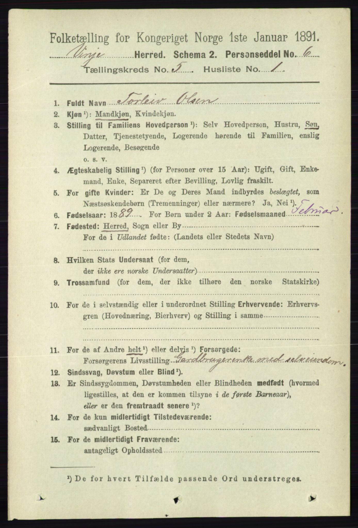 RA, 1891 census for 0834 Vinje, 1891, p. 1053