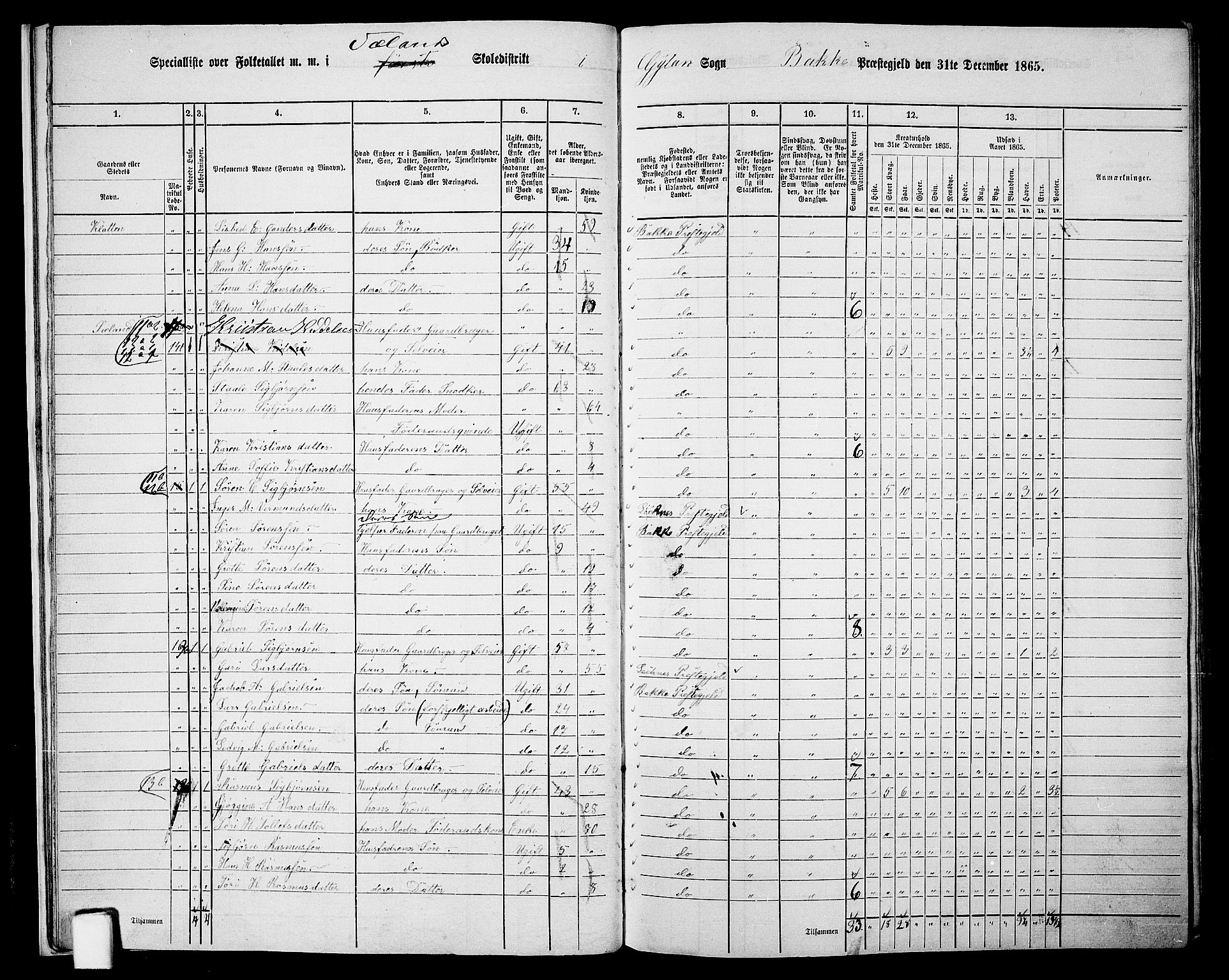 RA, 1865 census for Bakke, 1865, p. 17