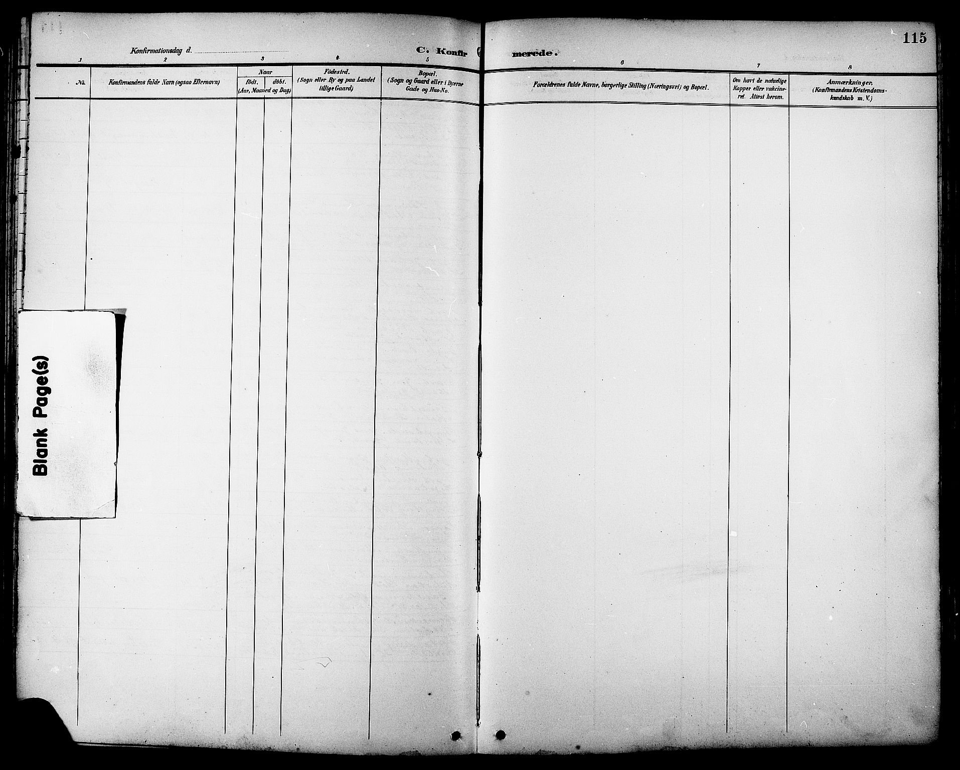 Ministerialprotokoller, klokkerbøker og fødselsregistre - Sør-Trøndelag, SAT/A-1456/681/L0941: Parish register (copy) no. 681C05, 1896-1905, p. 115