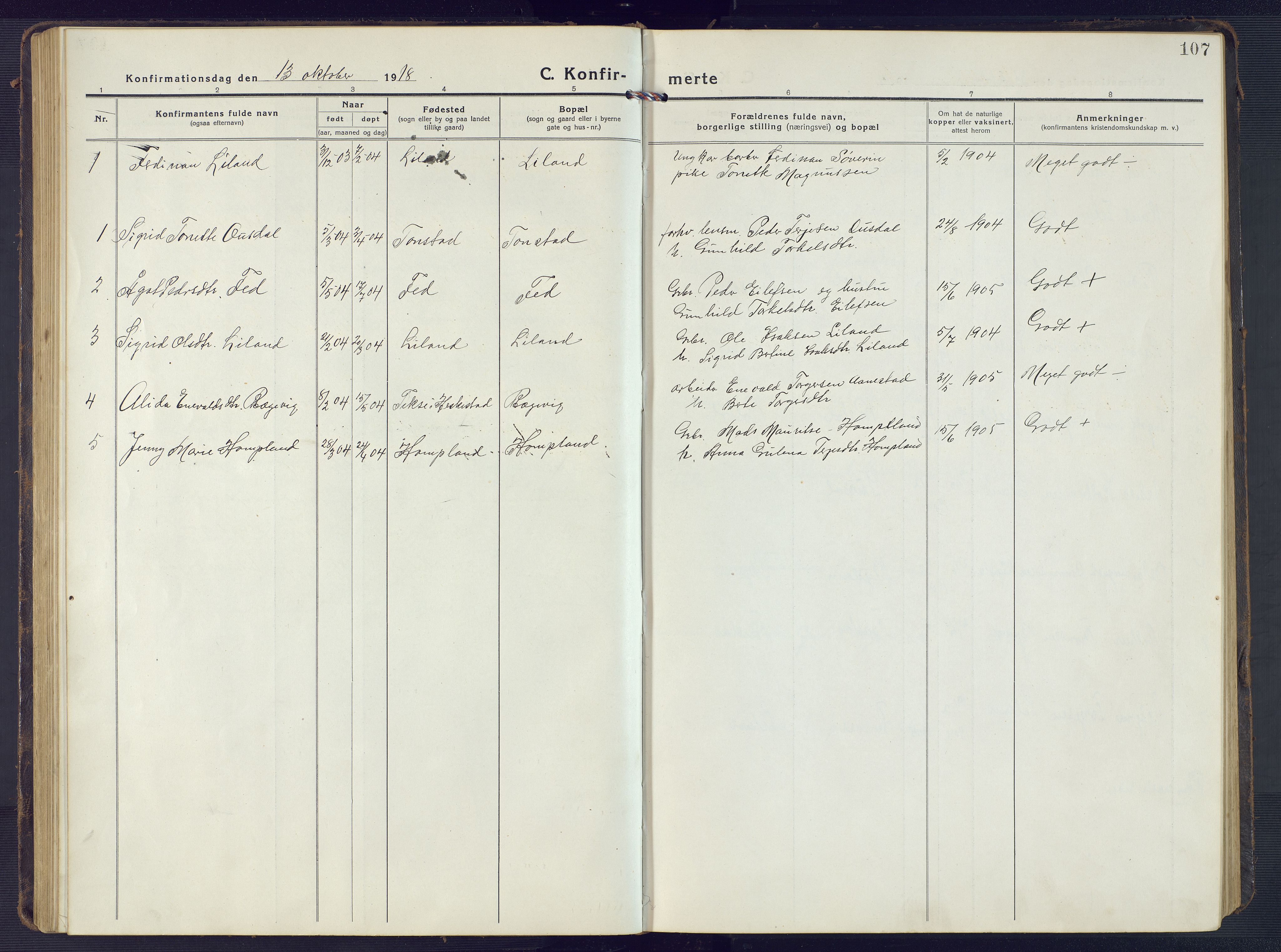 Sirdal sokneprestkontor, SAK/1111-0036/F/Fb/Fbb/L0005: Parish register (copy) no. B 5, 1916-1960, p. 107