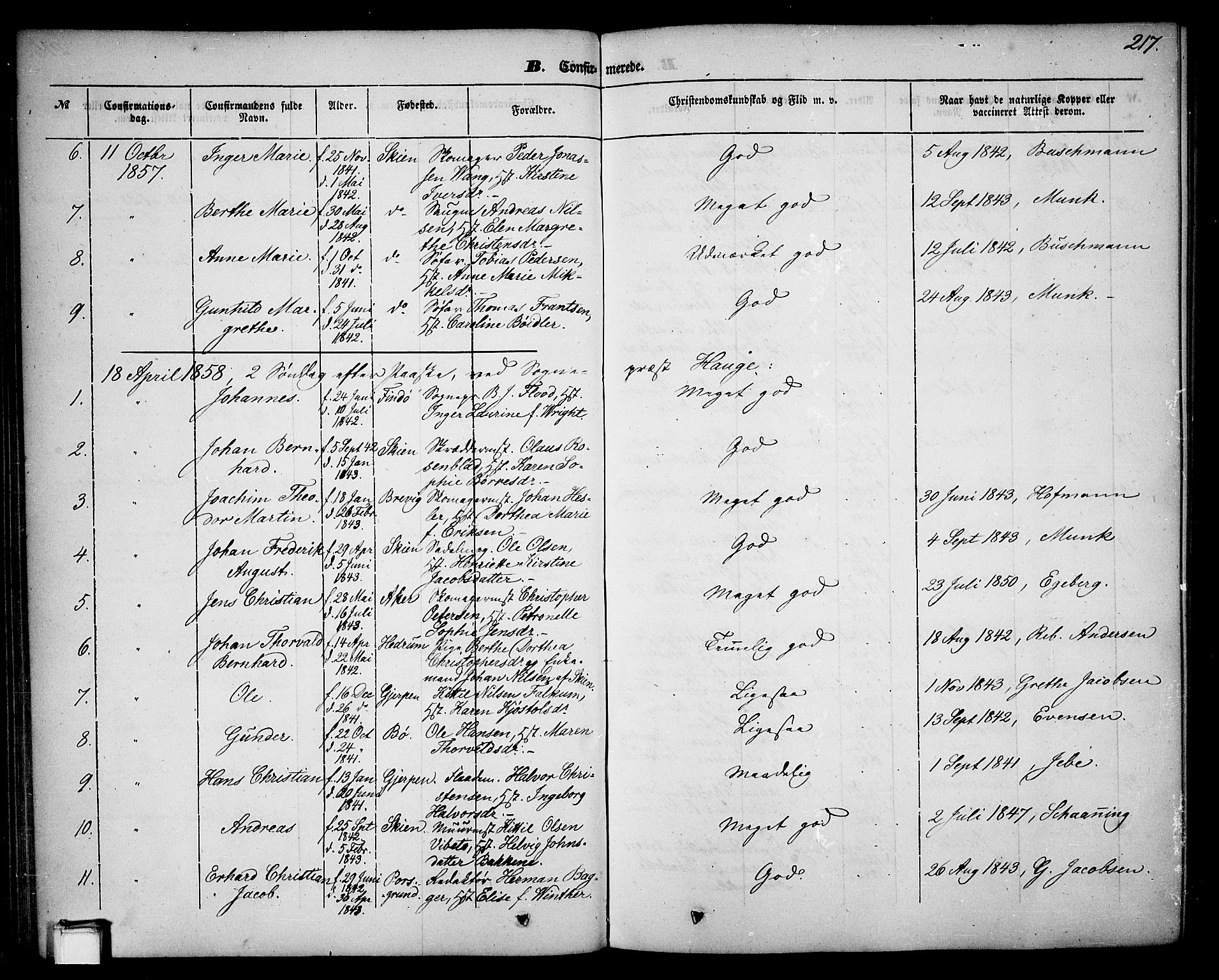 Skien kirkebøker, SAKO/A-302/G/Ga/L0004: Parish register (copy) no. 4, 1843-1867, p. 217