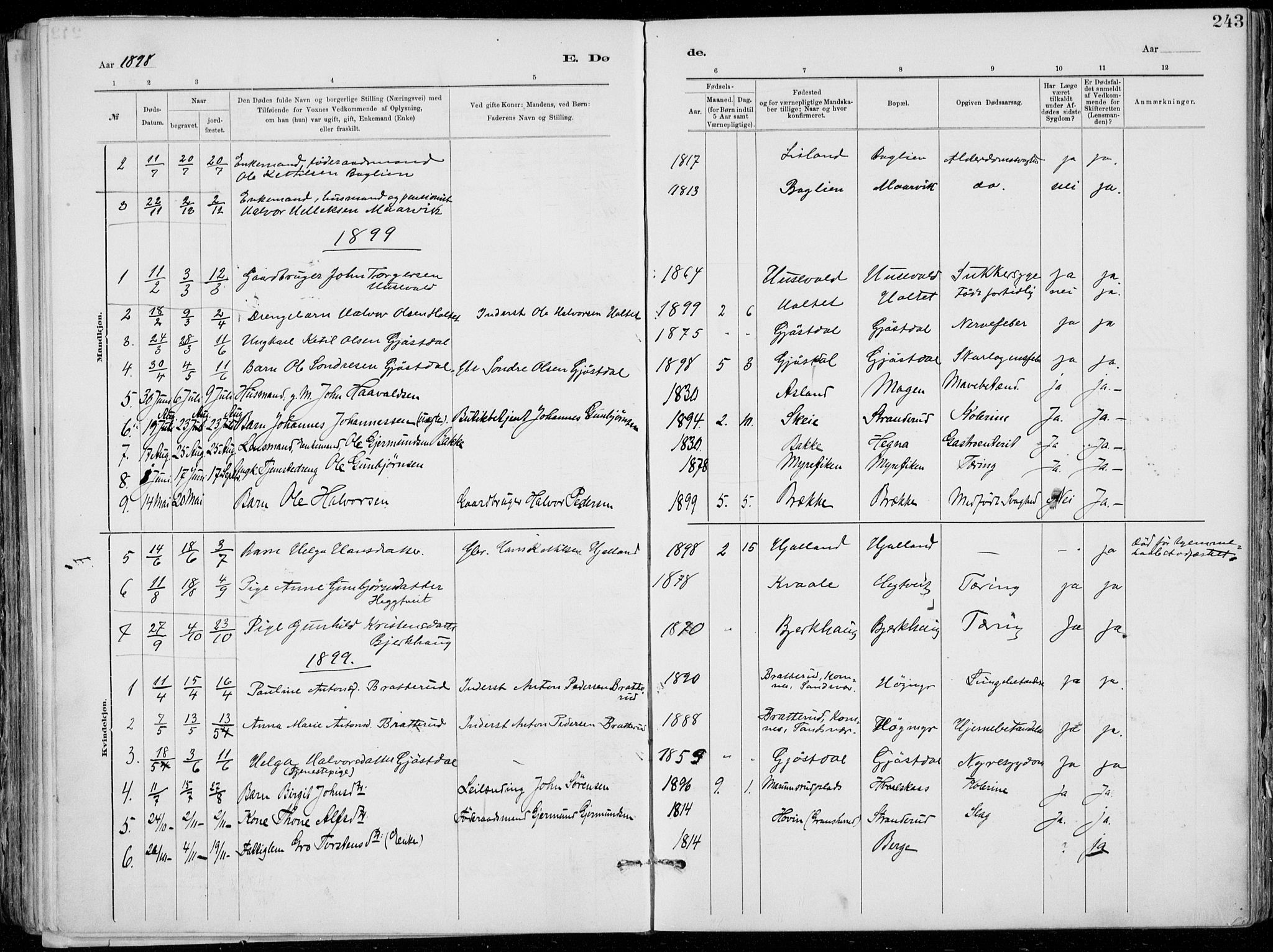 Tinn kirkebøker, SAKO/A-308/F/Fa/L0007: Parish register (official) no. I 7, 1878-1922, p. 243