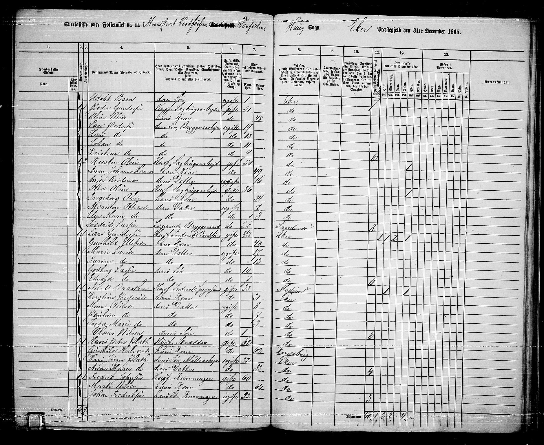 RA, 1865 census for Eiker, 1865, p. 232