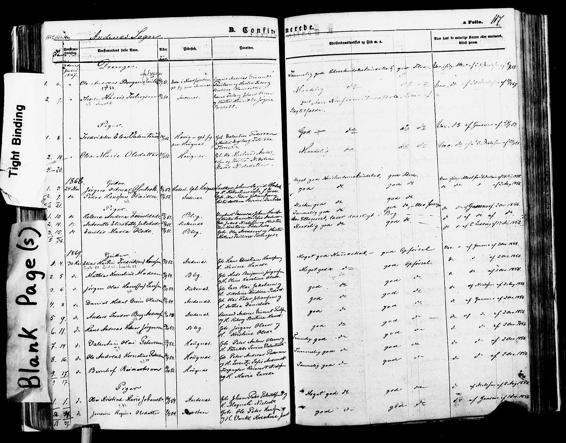 Ministerialprotokoller, klokkerbøker og fødselsregistre - Nordland, AV/SAT-A-1459/897/L1398: Parish register (official) no. 897A05 /2, 1867-1880, p. 117