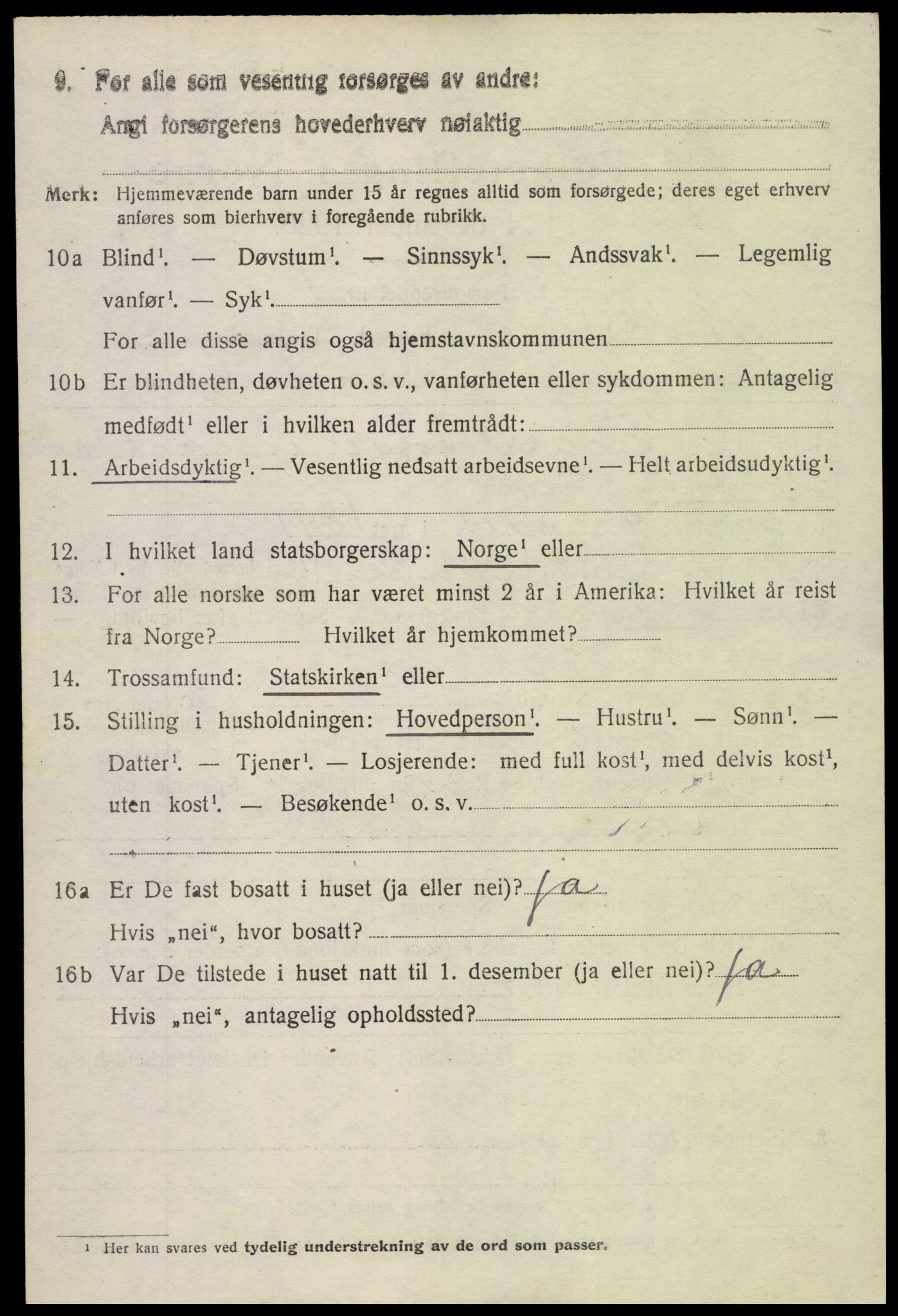 SAH, 1920 census for Vestre Slidre, 1920, p. 995