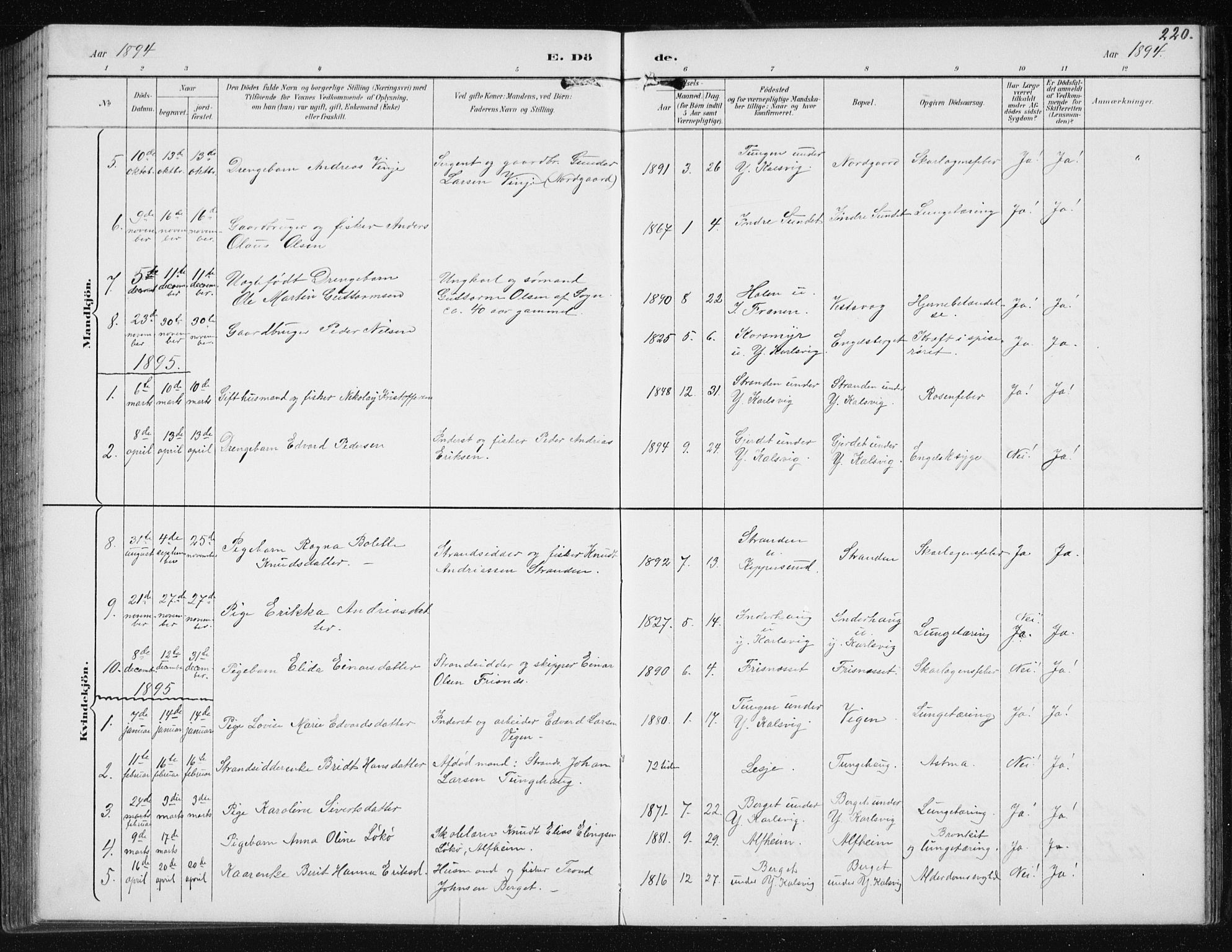 Ministerialprotokoller, klokkerbøker og fødselsregistre - Møre og Romsdal, AV/SAT-A-1454/566/L0773: Parish register (copy) no. 566C02, 1892-1909, p. 220