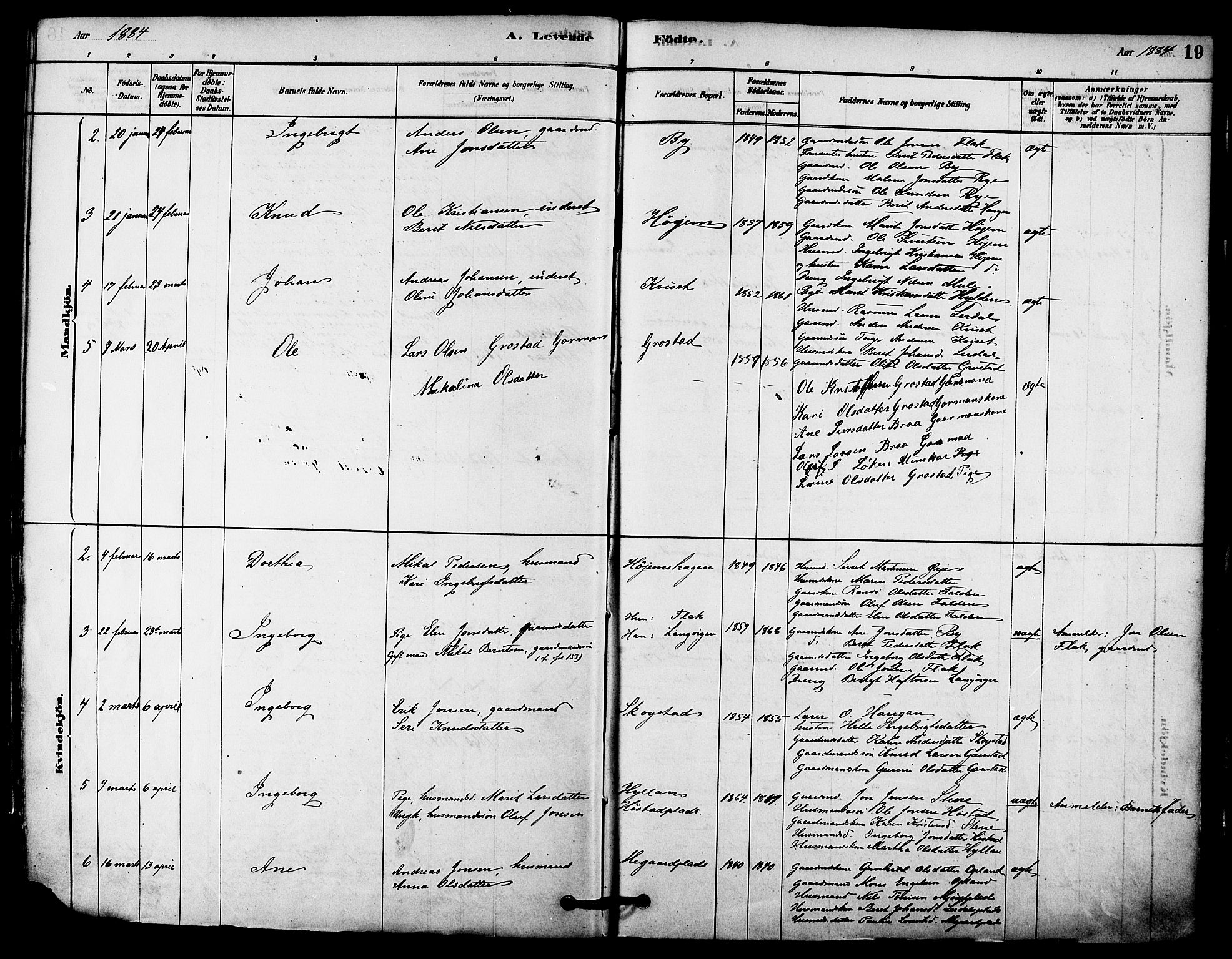 Ministerialprotokoller, klokkerbøker og fødselsregistre - Sør-Trøndelag, AV/SAT-A-1456/612/L0378: Parish register (official) no. 612A10, 1878-1897, p. 19