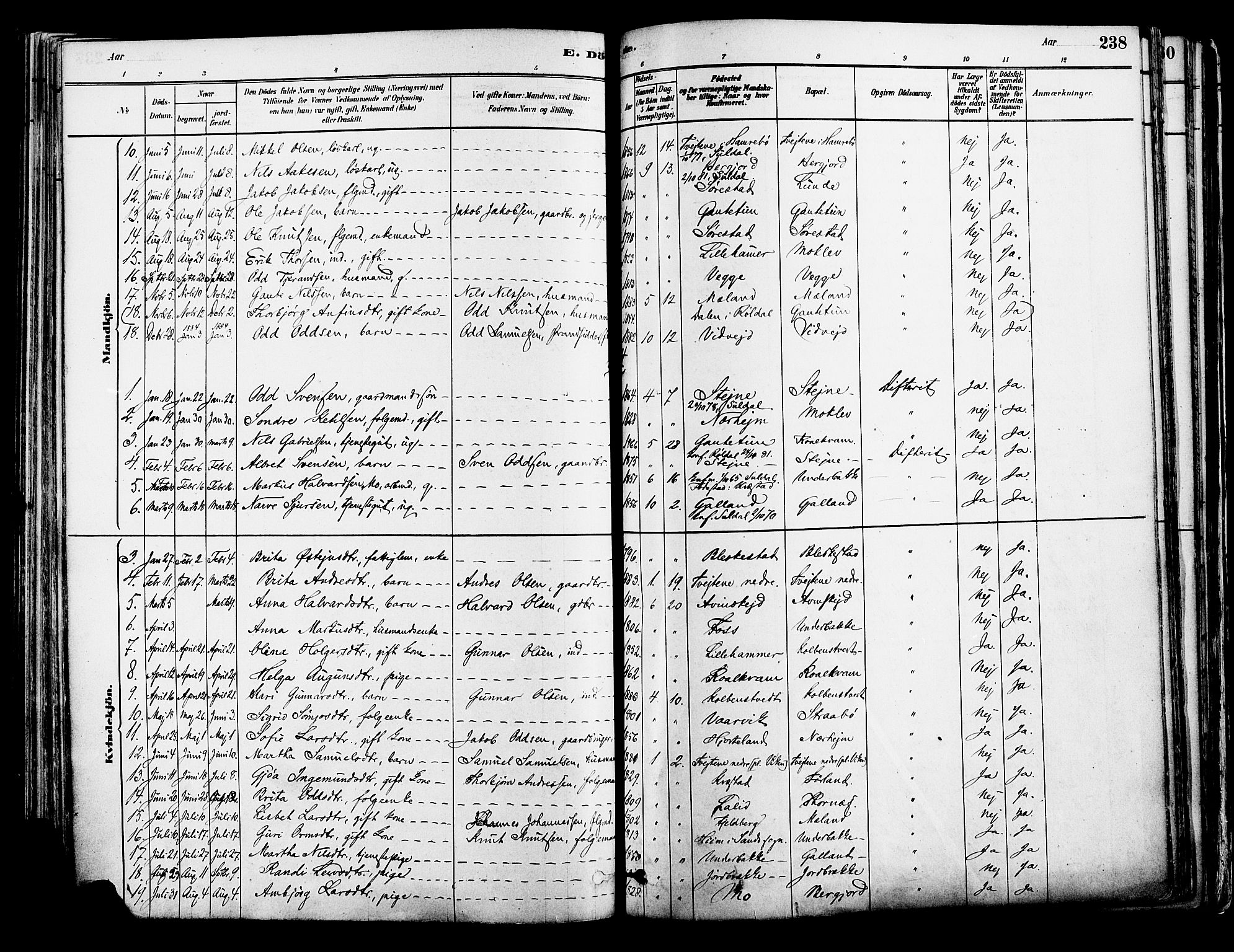 Suldal sokneprestkontor, AV/SAST-A-101845/01/IV/L0011: Parish register (official) no. A 11, 1878-1900, p. 238