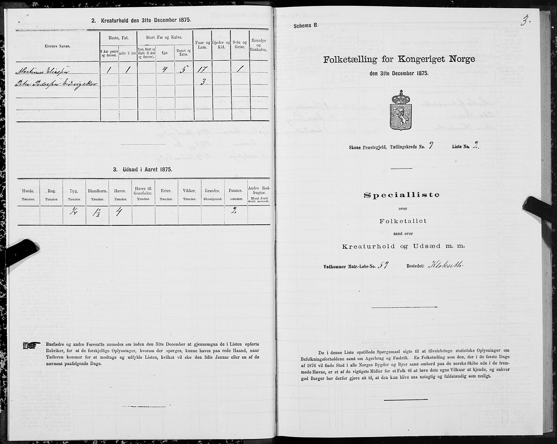 SAT, 1875 census for 1529P Skodje, 1875, p. 3003