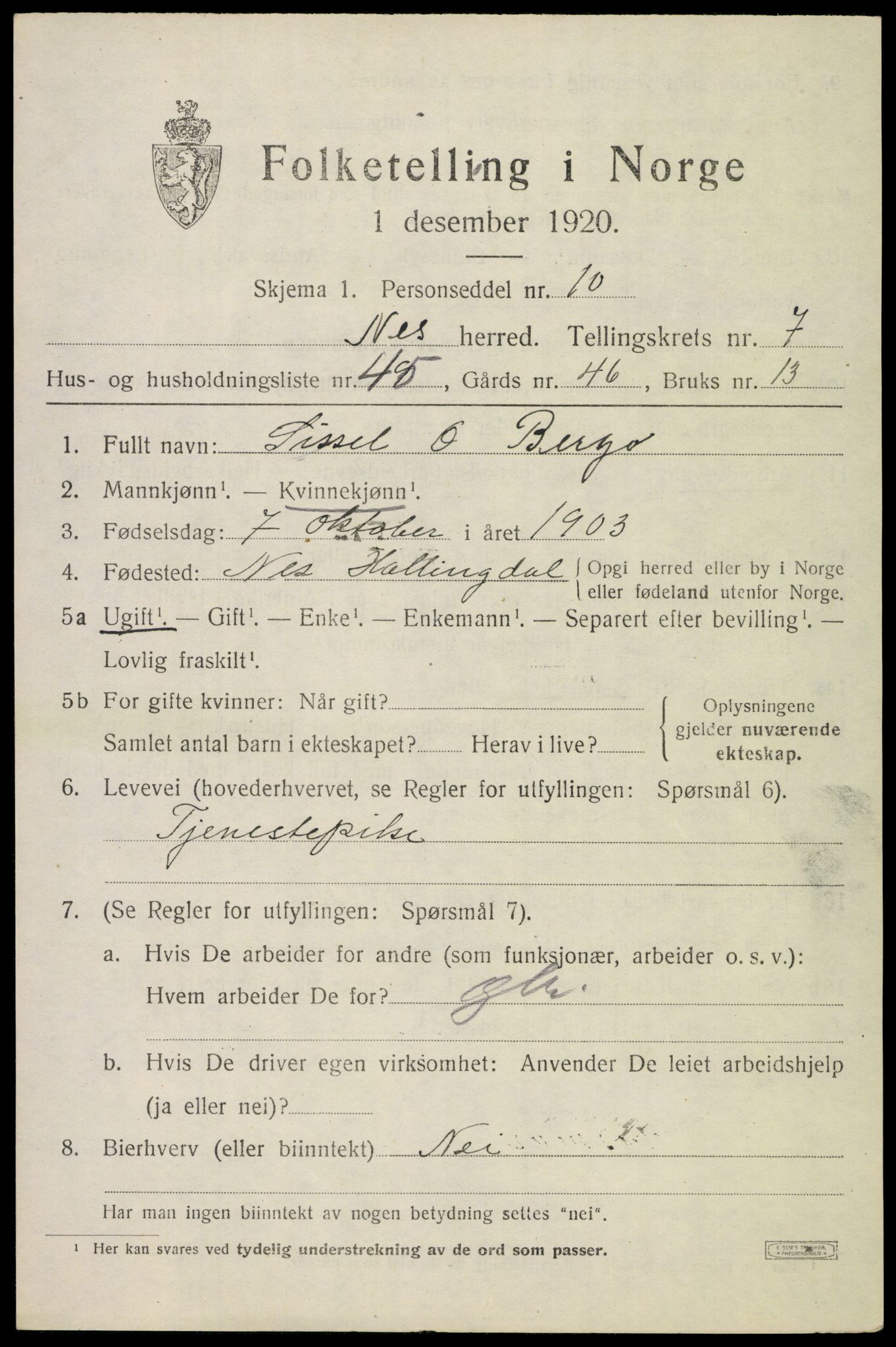 SAKO, 1920 census for Nes (Buskerud), 1920, p. 5010