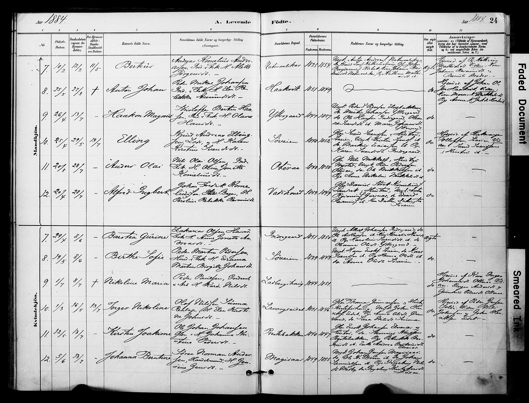 Ibestad sokneprestembete, AV/SATØ-S-0077/H/Ha/Haa/L0014kirke: Parish register (official) no. 14, 1880-1887, p. 24