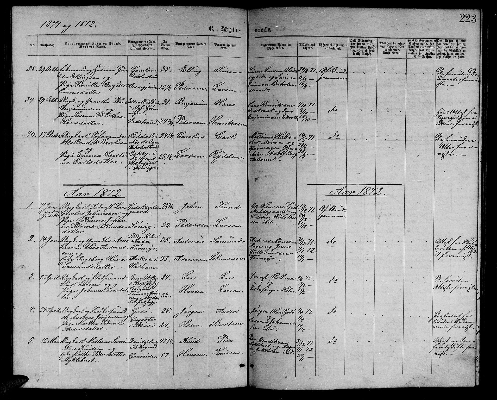 Ministerialprotokoller, klokkerbøker og fødselsregistre - Møre og Romsdal, AV/SAT-A-1454/528/L0428: Parish register (copy) no. 528C09, 1864-1880, p. 223