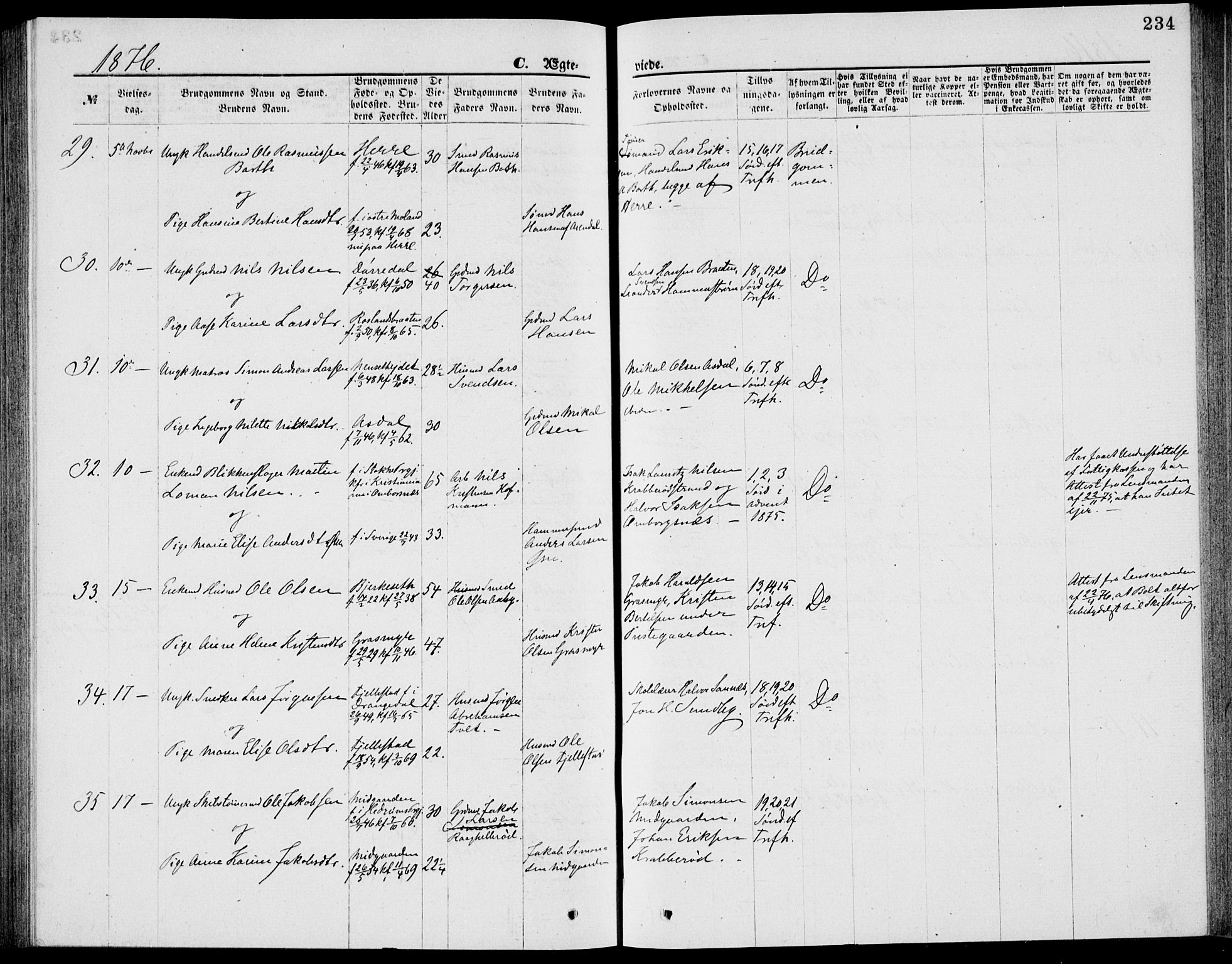 Bamble kirkebøker, AV/SAKO-A-253/G/Ga/L0007: Parish register (copy) no. I 7, 1876-1877, p. 234