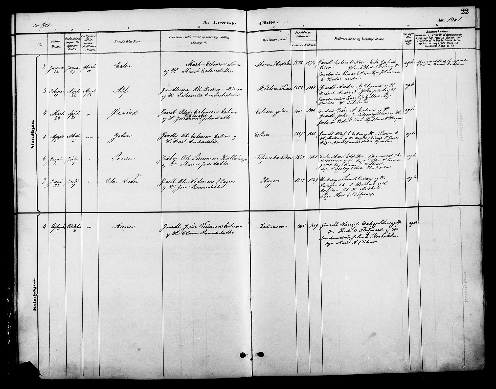 Tolga prestekontor, SAH/PREST-062/L/L0009: Parish register (copy) no. 9, 1892-1919, p. 22