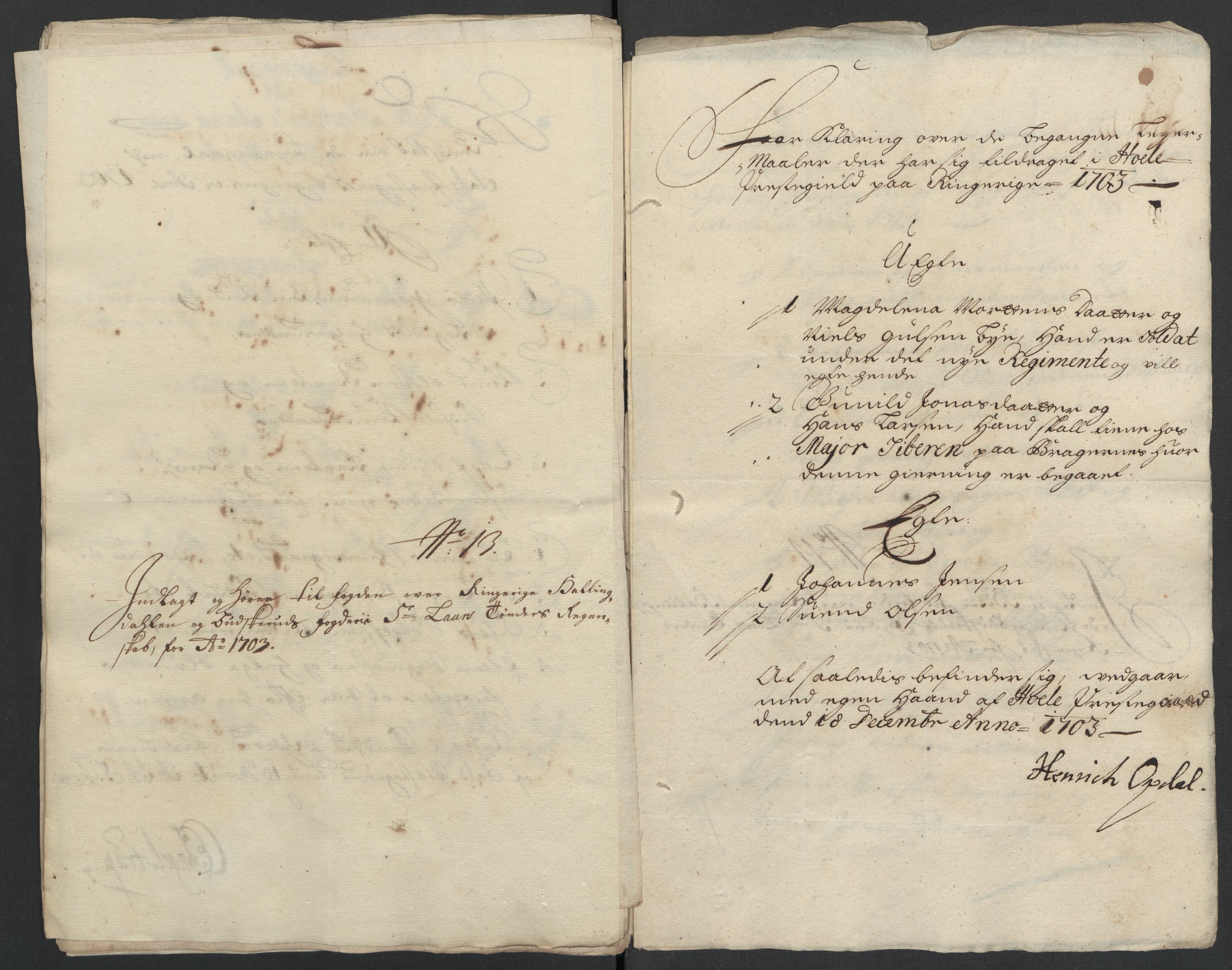 Rentekammeret inntil 1814, Reviderte regnskaper, Fogderegnskap, AV/RA-EA-4092/R22/L1461: Fogderegnskap Ringerike, Hallingdal og Buskerud, 1703, p. 193