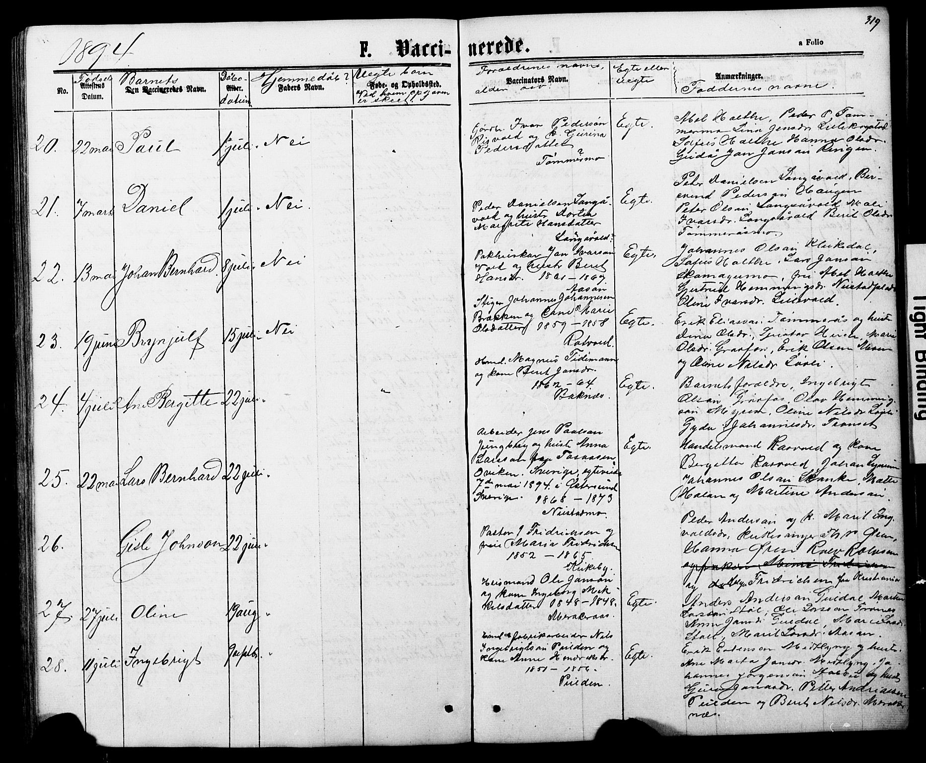 Ministerialprotokoller, klokkerbøker og fødselsregistre - Nord-Trøndelag, AV/SAT-A-1458/706/L0049: Parish register (copy) no. 706C01, 1864-1895, p. 319