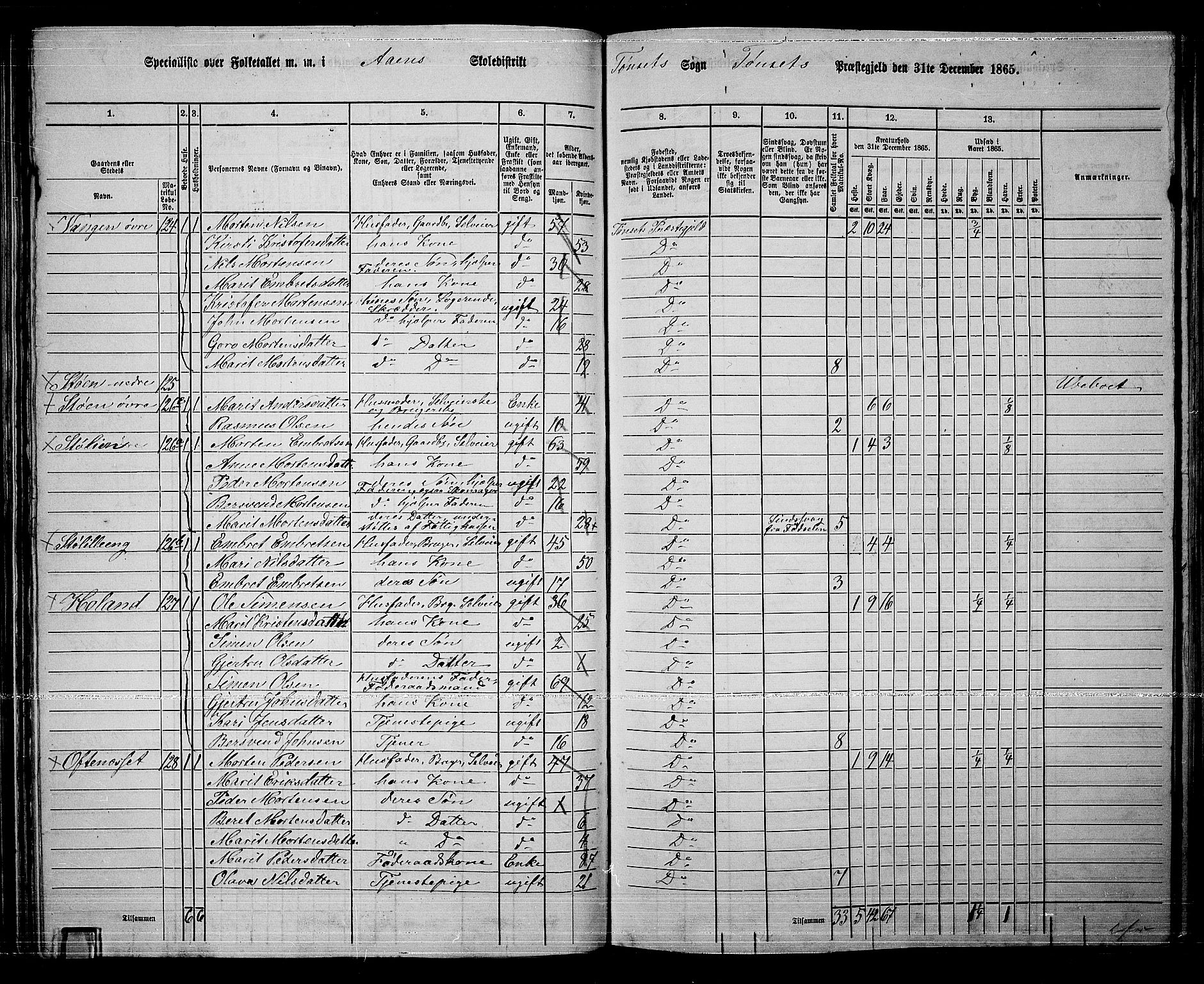 RA, 1865 census for Tynset, 1865, p. 62