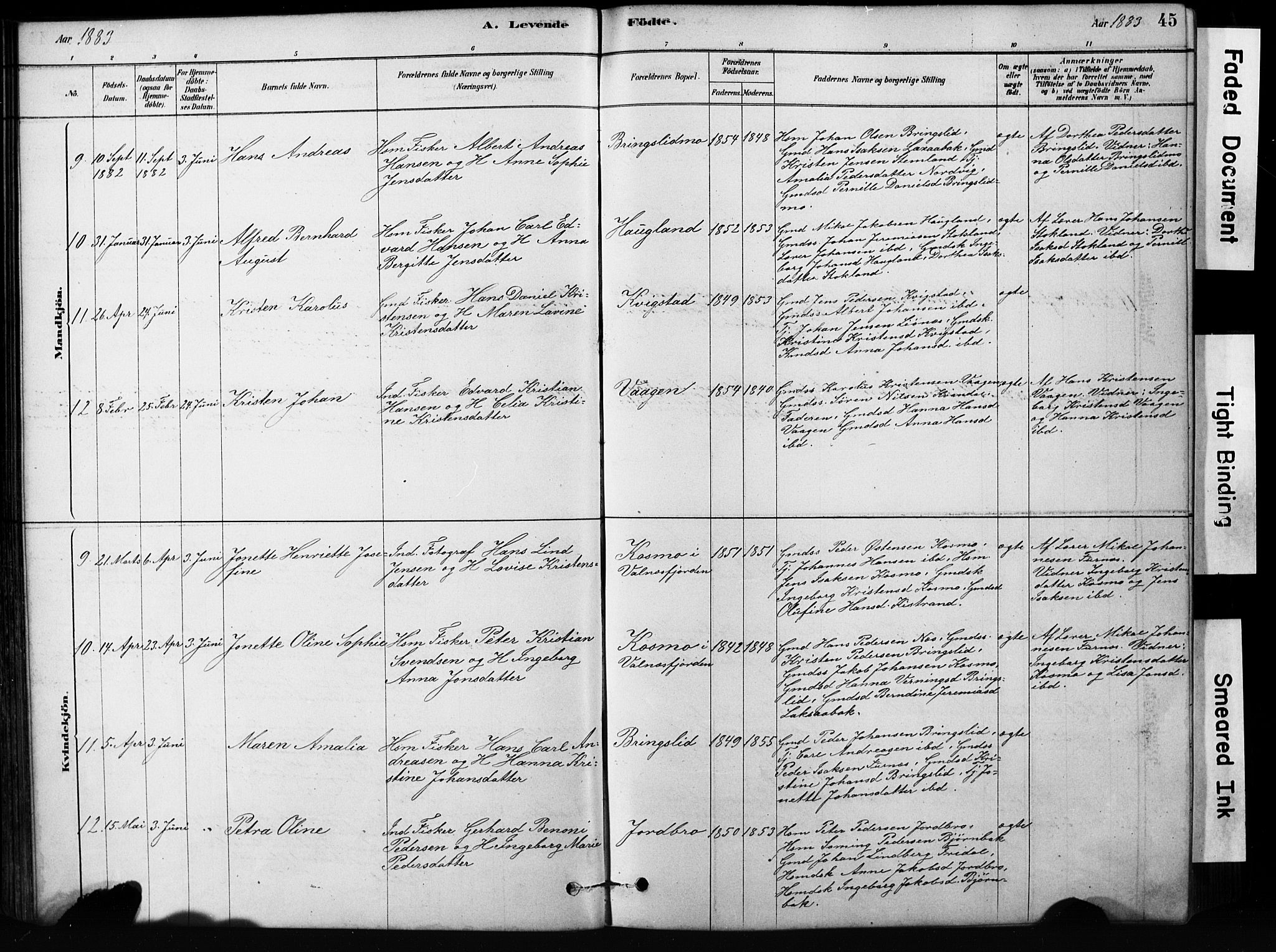 Ministerialprotokoller, klokkerbøker og fødselsregistre - Nordland, AV/SAT-A-1459/852/L0754: Parish register (copy) no. 852C05, 1878-1894, p. 45