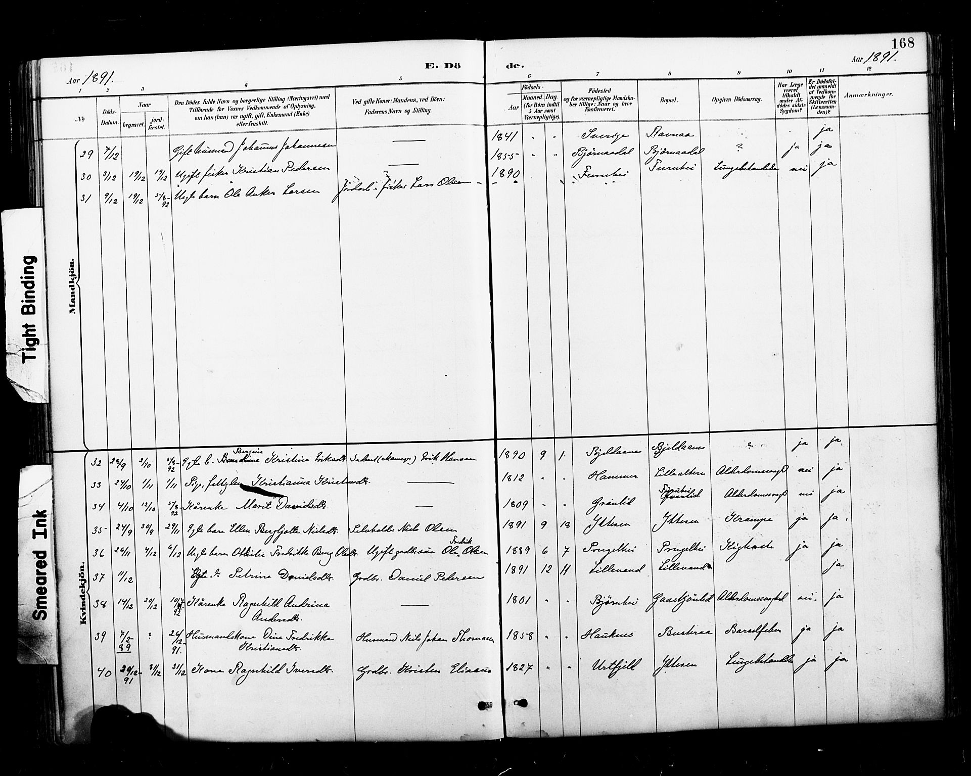 Ministerialprotokoller, klokkerbøker og fødselsregistre - Nordland, AV/SAT-A-1459/827/L0401: Parish register (official) no. 827A13, 1887-1905, p. 168