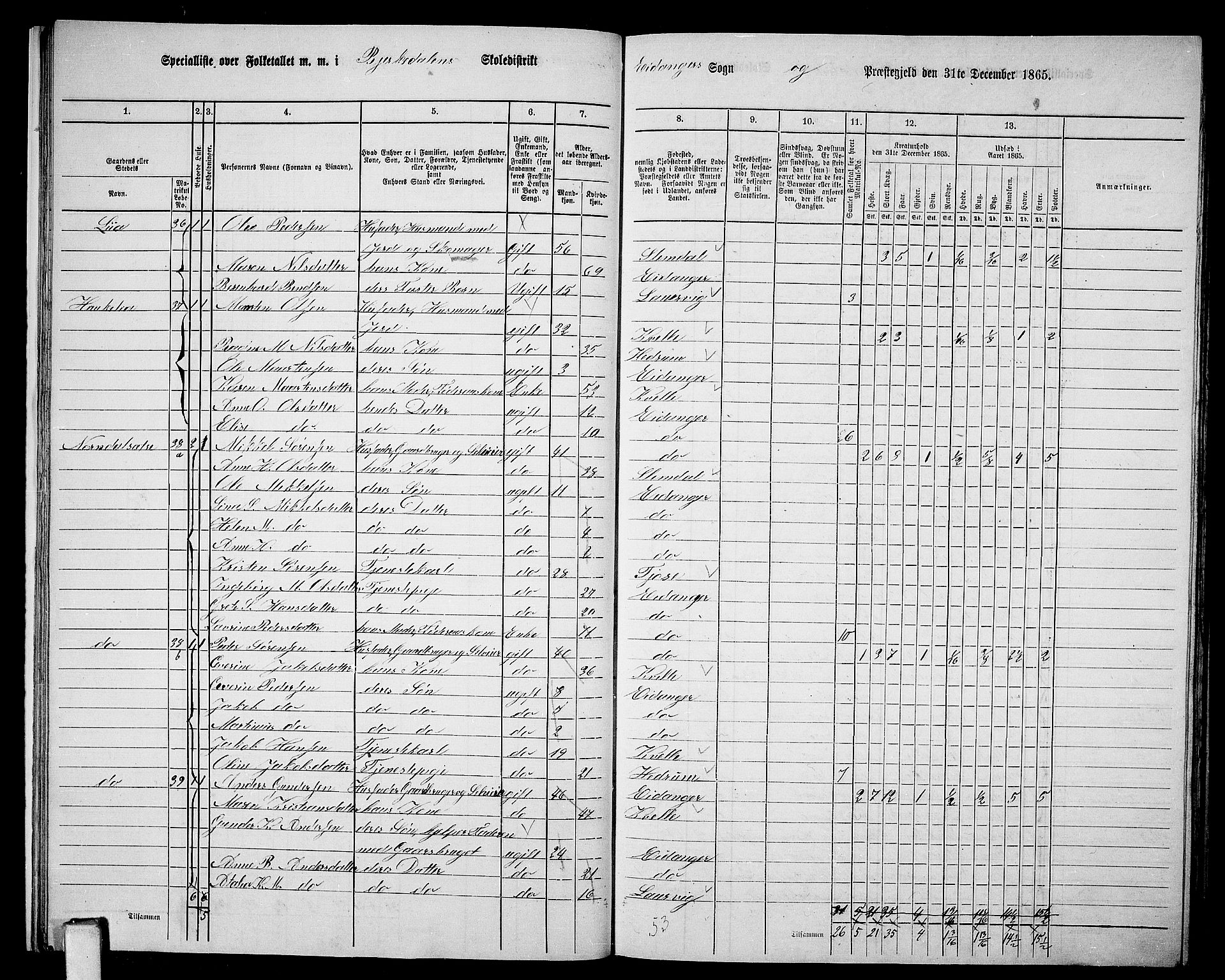 RA, 1865 census for Eidanger, 1865, p. 20