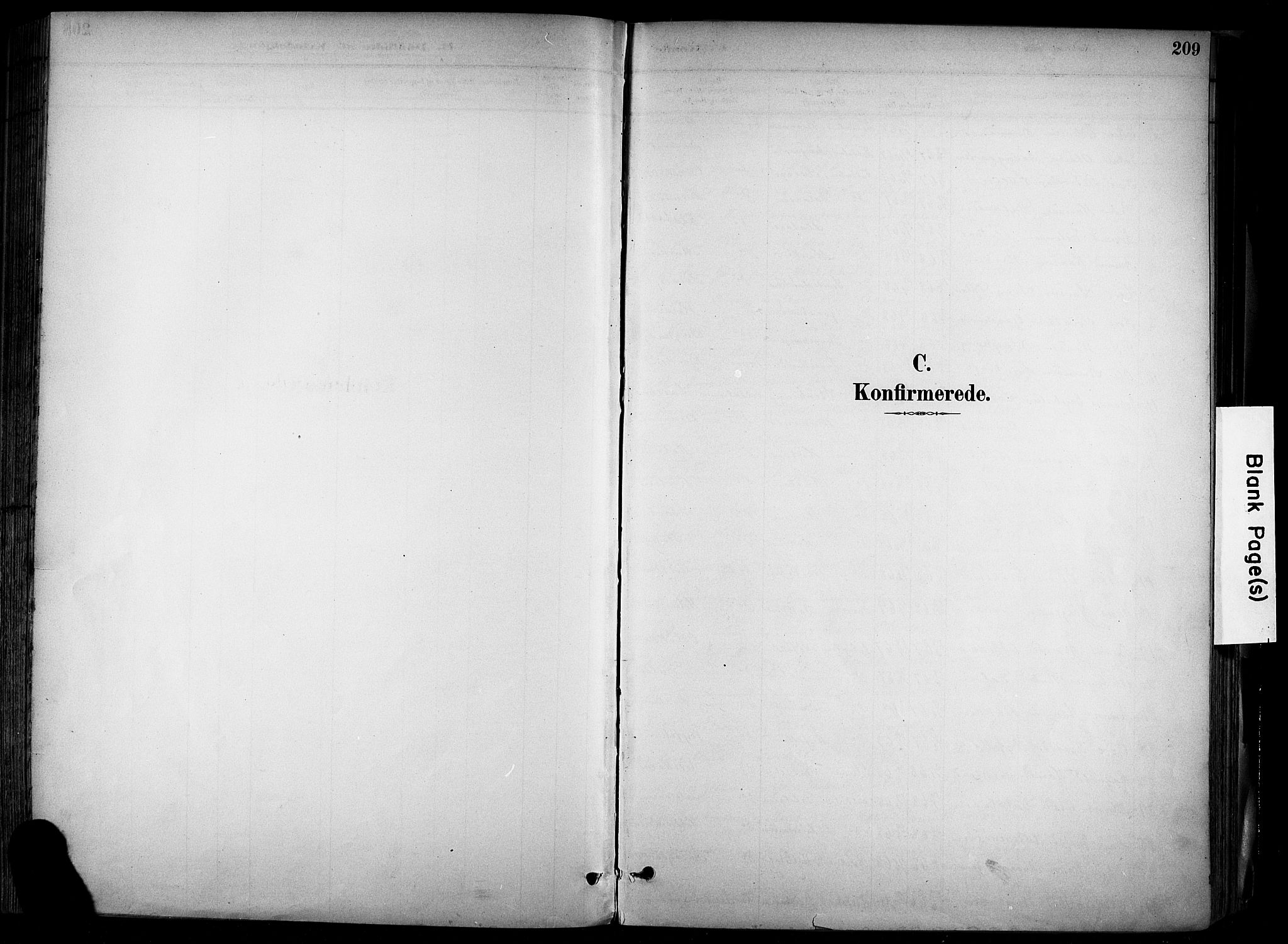 Alvdal prestekontor, SAH/PREST-060/H/Ha/Haa/L0002: Parish register (official) no. 2, 1883-1906, p. 209