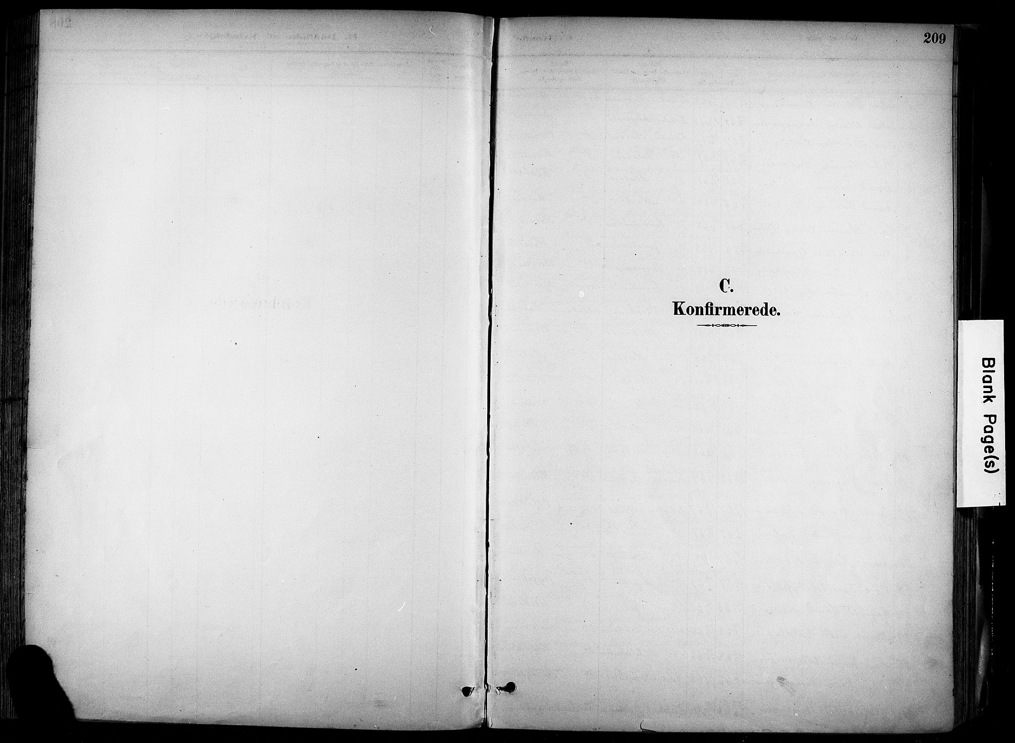 Alvdal prestekontor, AV/SAH-PREST-060/H/Ha/Haa/L0002: Parish register (official) no. 2, 1883-1906, p. 209