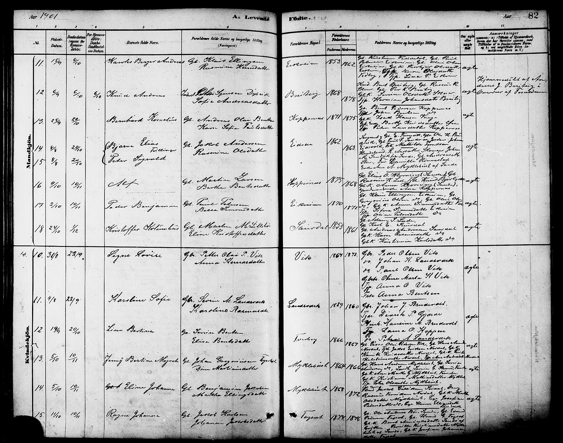 Ministerialprotokoller, klokkerbøker og fødselsregistre - Møre og Romsdal, AV/SAT-A-1454/502/L0027: Parish register (copy) no. 502C01, 1878-1908, p. 82