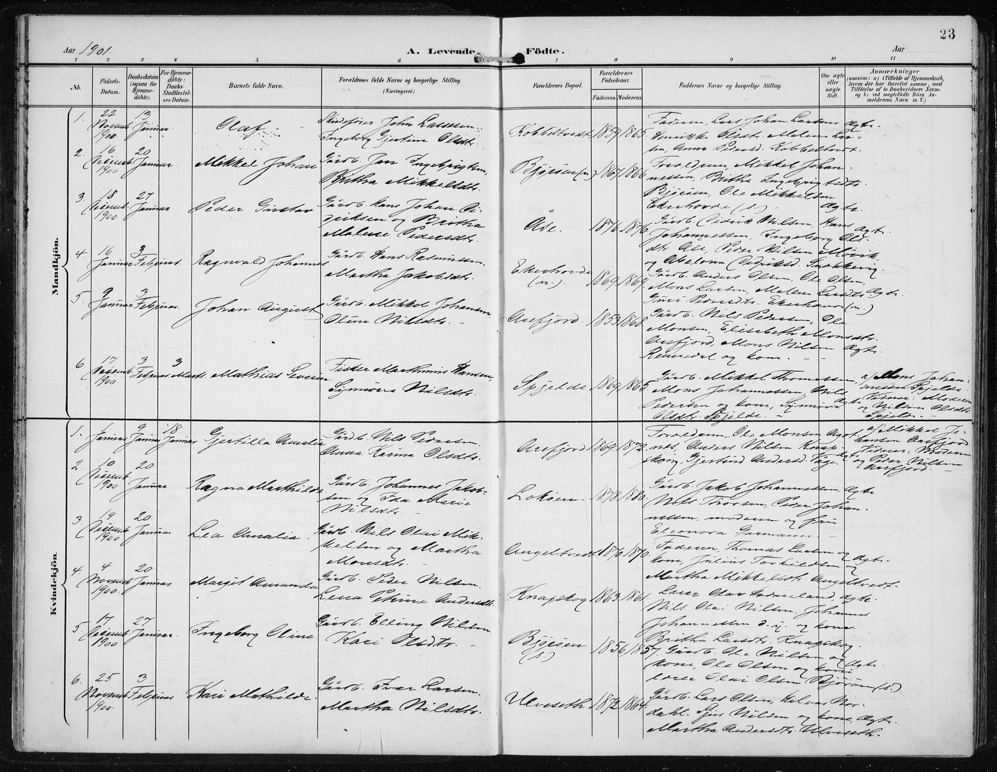 Fjell sokneprestembete, SAB/A-75301/H/Haa: Parish register (official) no. A  9, 1899-1910, p. 23