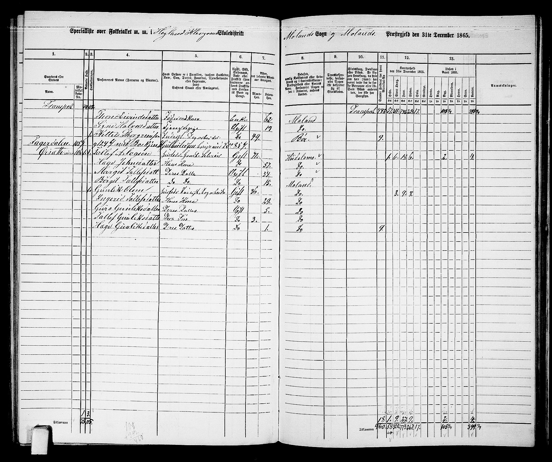 RA, 1865 census for Moland, 1865, p. 76