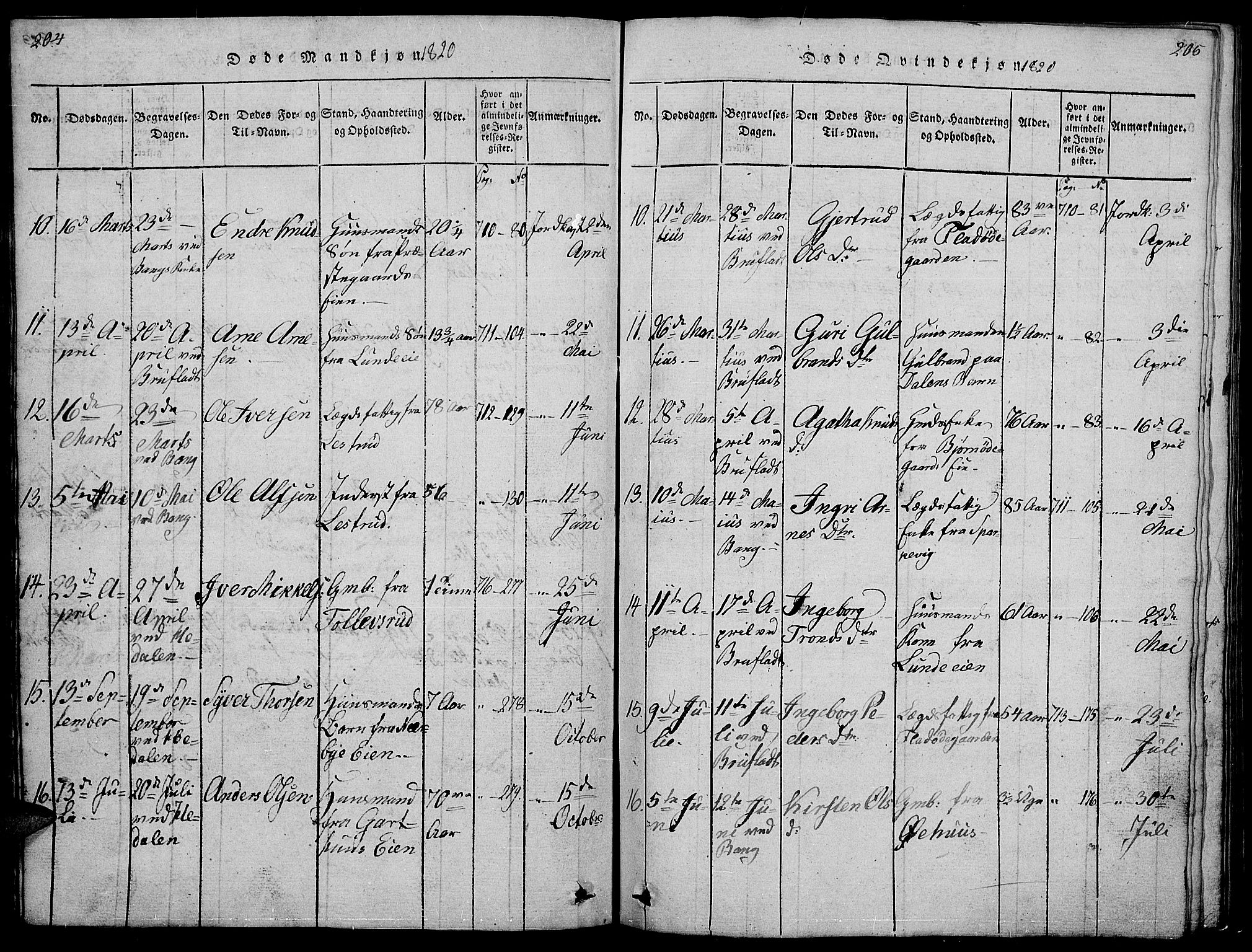 Sør-Aurdal prestekontor, SAH/PREST-128/H/Ha/Hab/L0001: Parish register (copy) no. 1, 1815-1826, p. 204-205