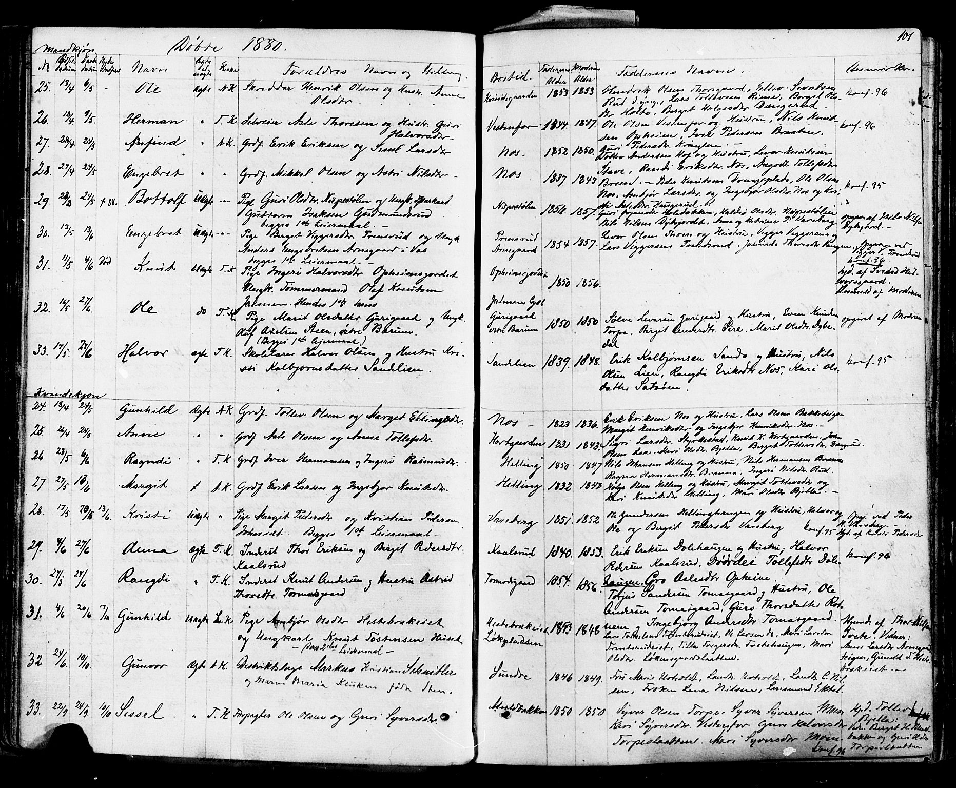 Ål kirkebøker, AV/SAKO-A-249/F/Fa/L0007: Parish register (official) no. I 7, 1865-1881, p. 101