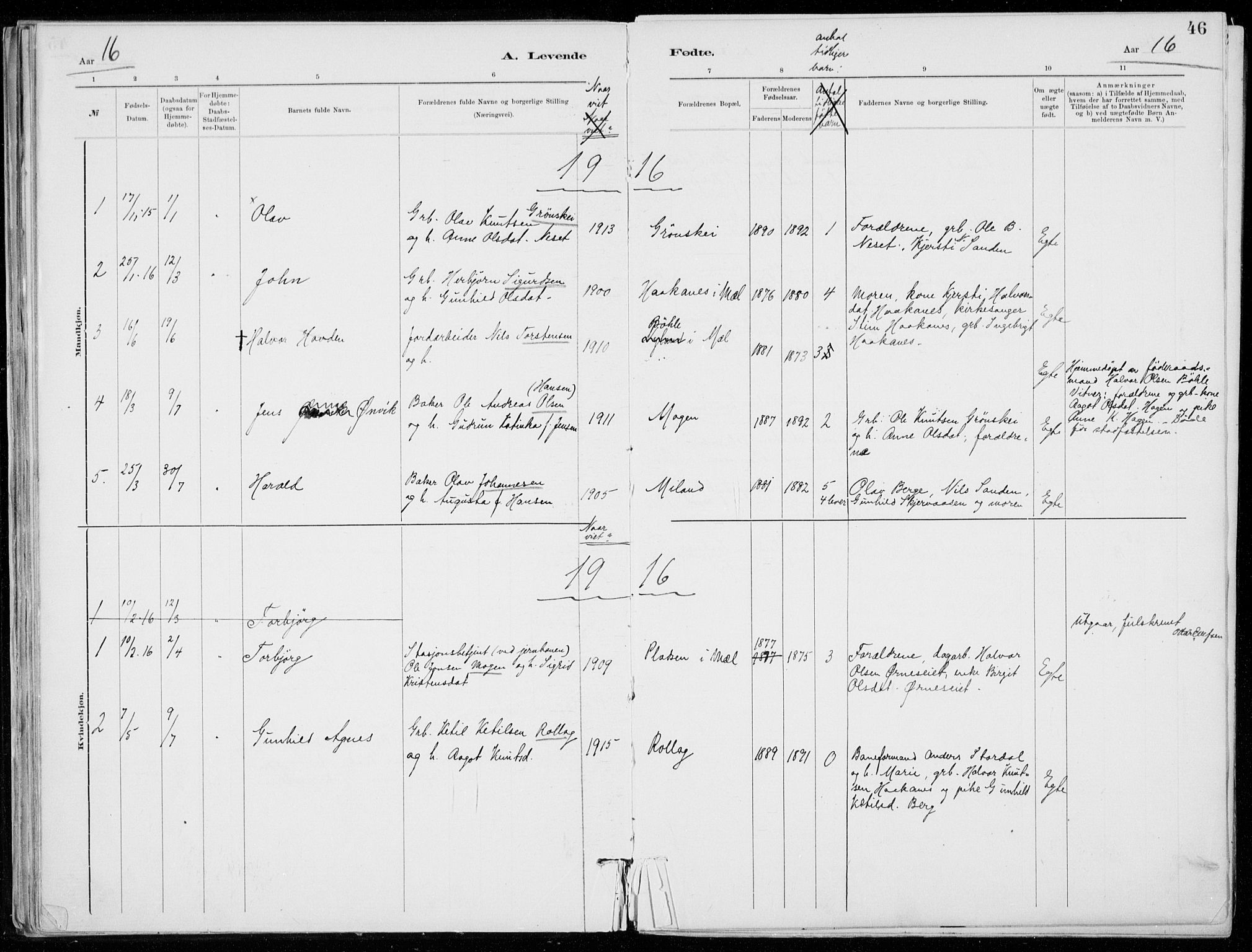 Tinn kirkebøker, SAKO/A-308/F/Fb/L0002: Parish register (official) no. II 2, 1878-1917, p. 46