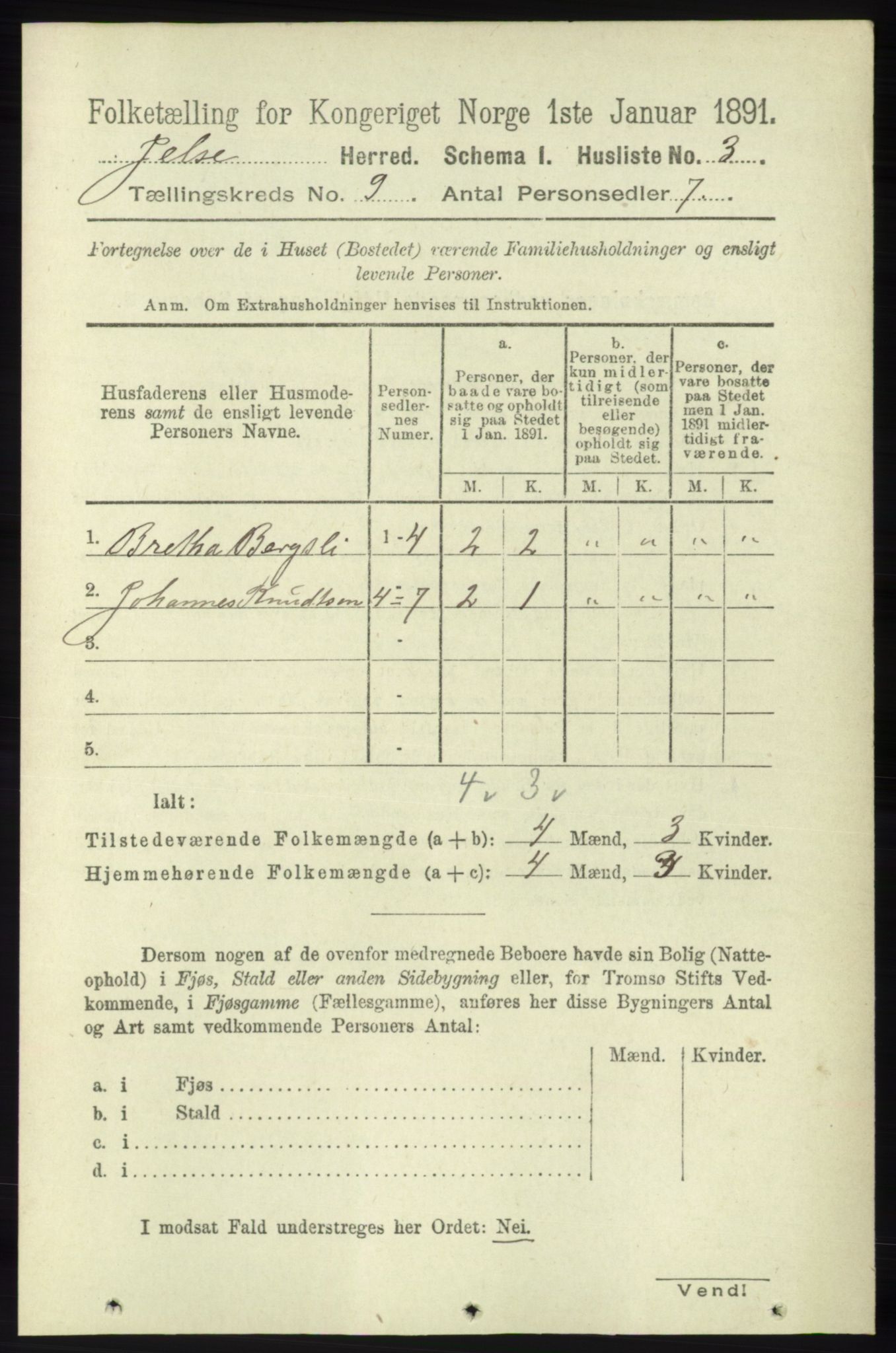 RA, 1891 census for 1138 Jelsa, 1891, p. 2005