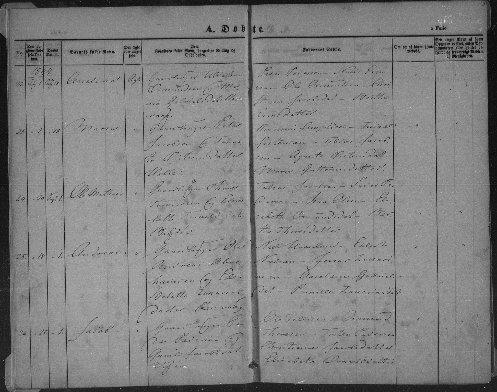 Herad sokneprestkontor, AV/SAK-1111-0018/F/Fa/Fab/L0003: Parish register (official) no. A 3, 1844-1853, p. 8