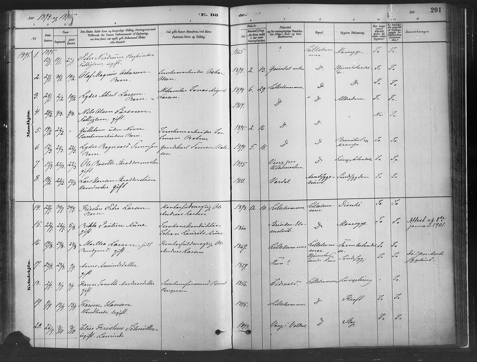 Fåberg prestekontor, SAH/PREST-086/H/Ha/Haa/L0010: Parish register (official) no. 10, 1879-1900, p. 291