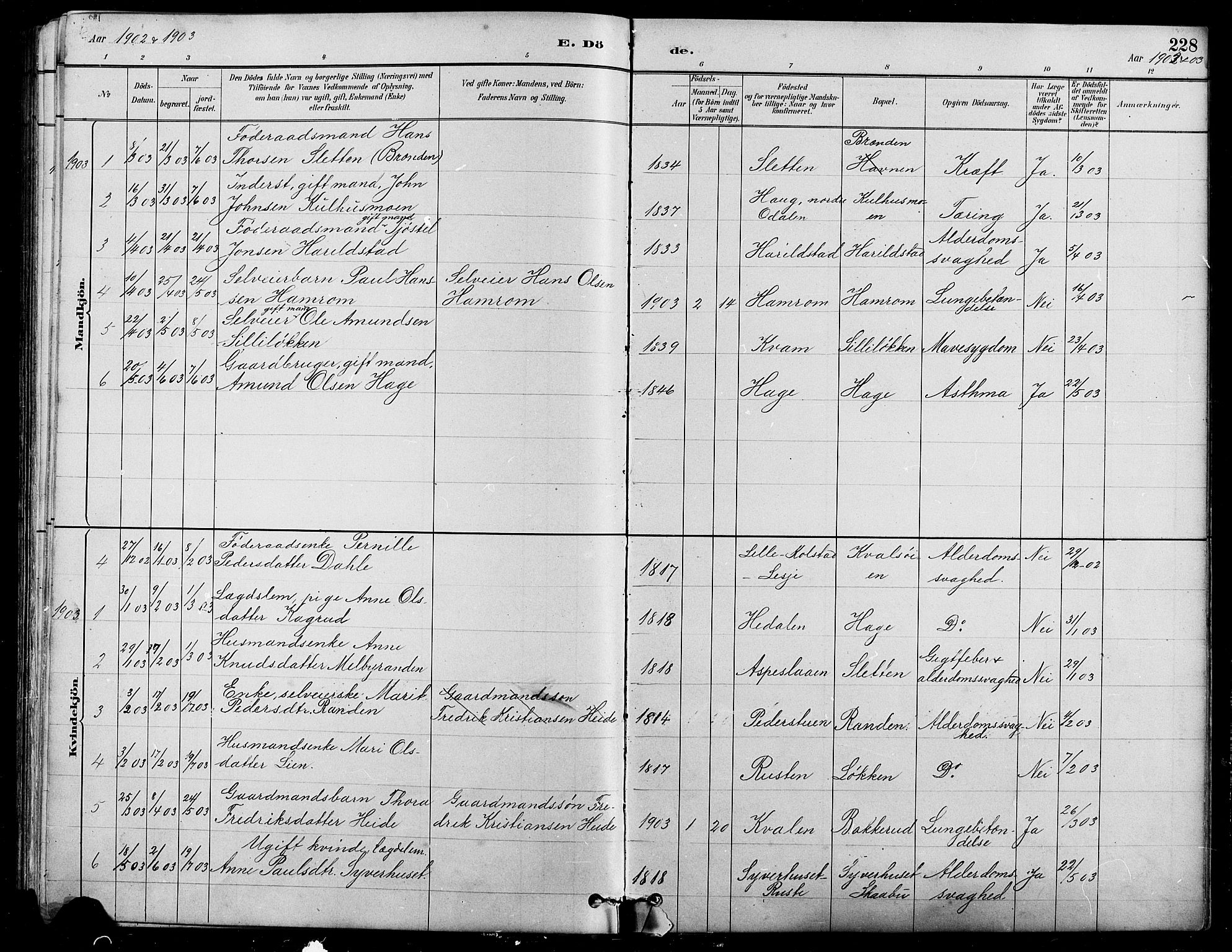 Nord-Fron prestekontor, SAH/PREST-080/H/Ha/Hab/L0005: Parish register (copy) no. 5, 1884-1914, p. 228