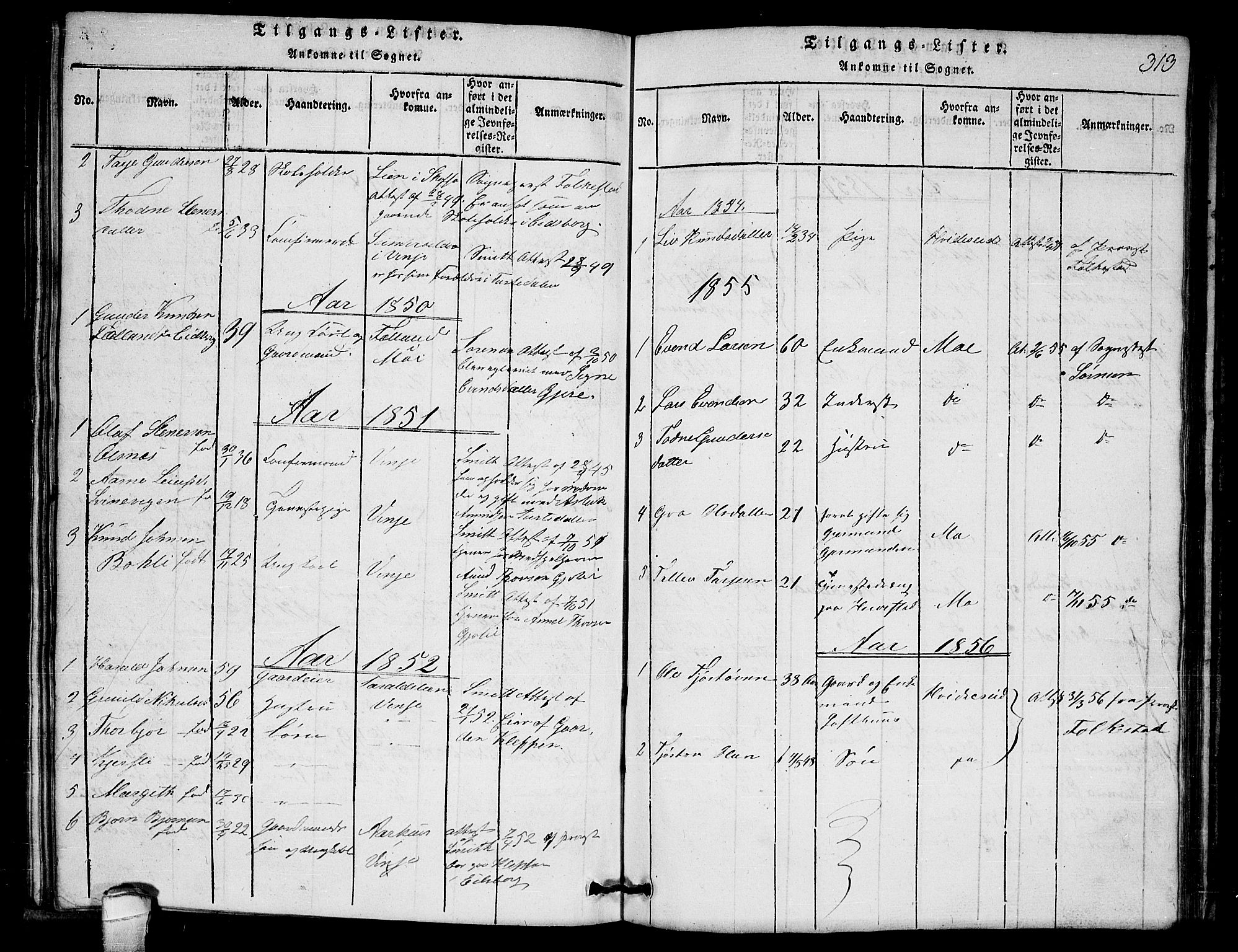 Lårdal kirkebøker, SAKO/A-284/G/Gb/L0001: Parish register (copy) no. II 1, 1815-1865, p. 313