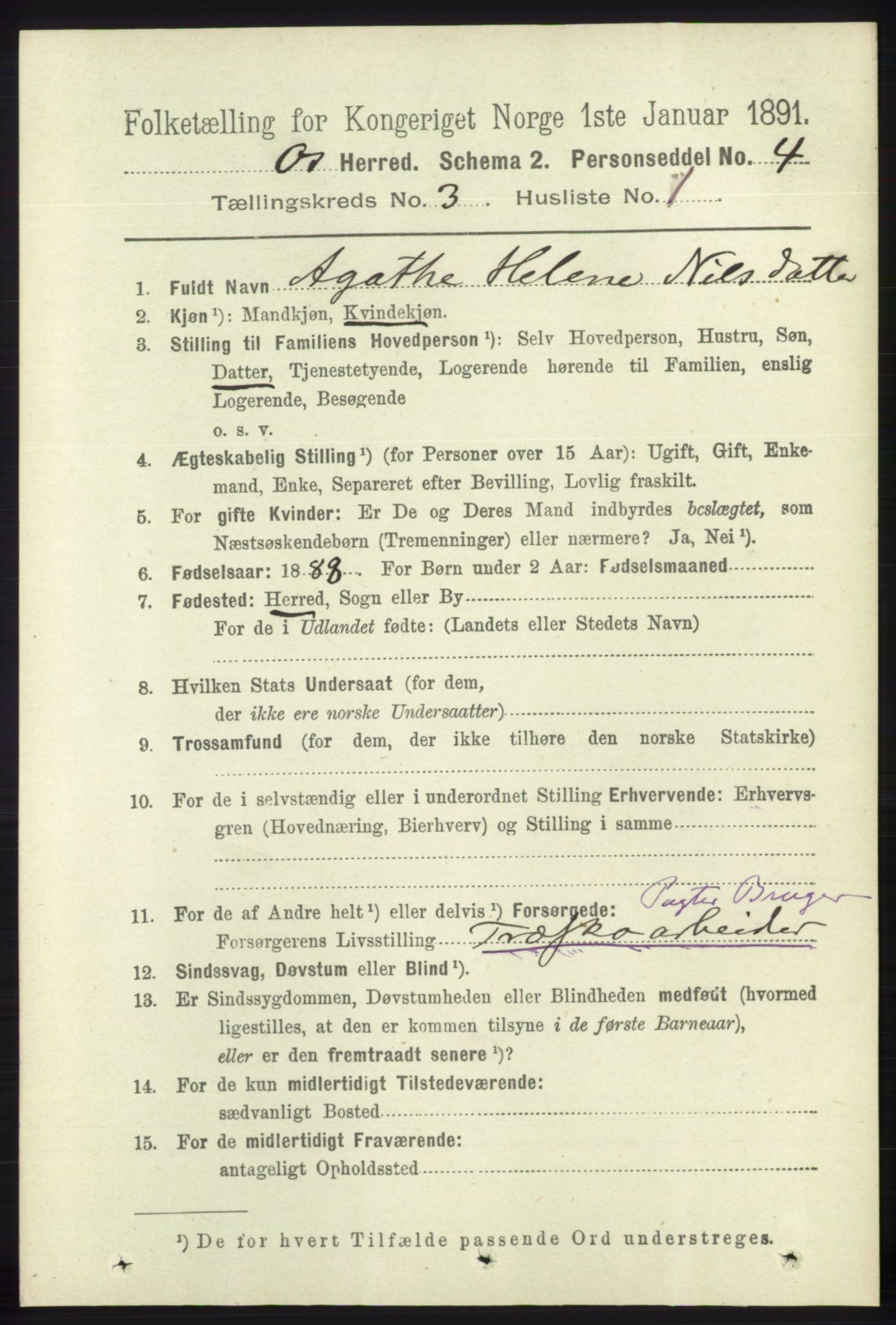 RA, 1891 census for 1243 Os, 1891, p. 889