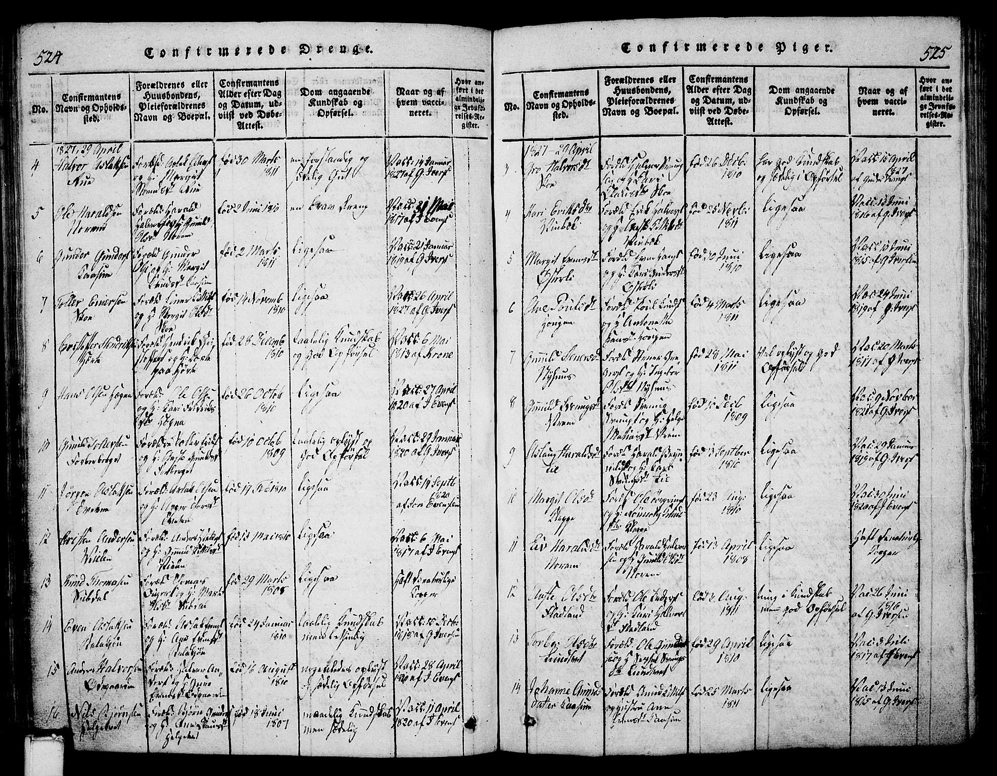 Bø kirkebøker, SAKO/A-257/G/Ga/L0001: Parish register (copy) no. 1, 1815-1831, p. 524-525