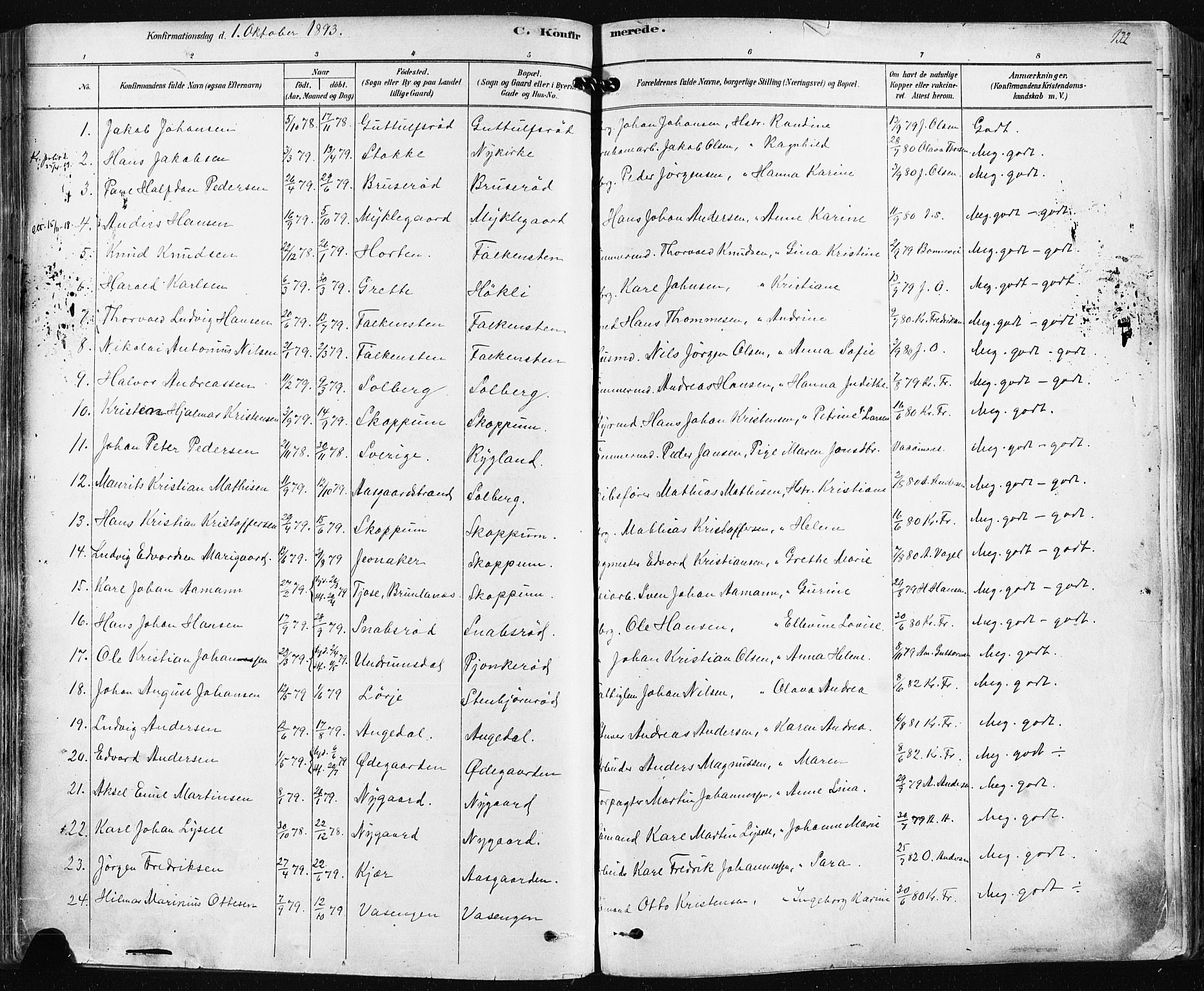 Borre kirkebøker, SAKO/A-338/F/Fa/L0009: Parish register (official) no. I 9, 1878-1896, p. 132
