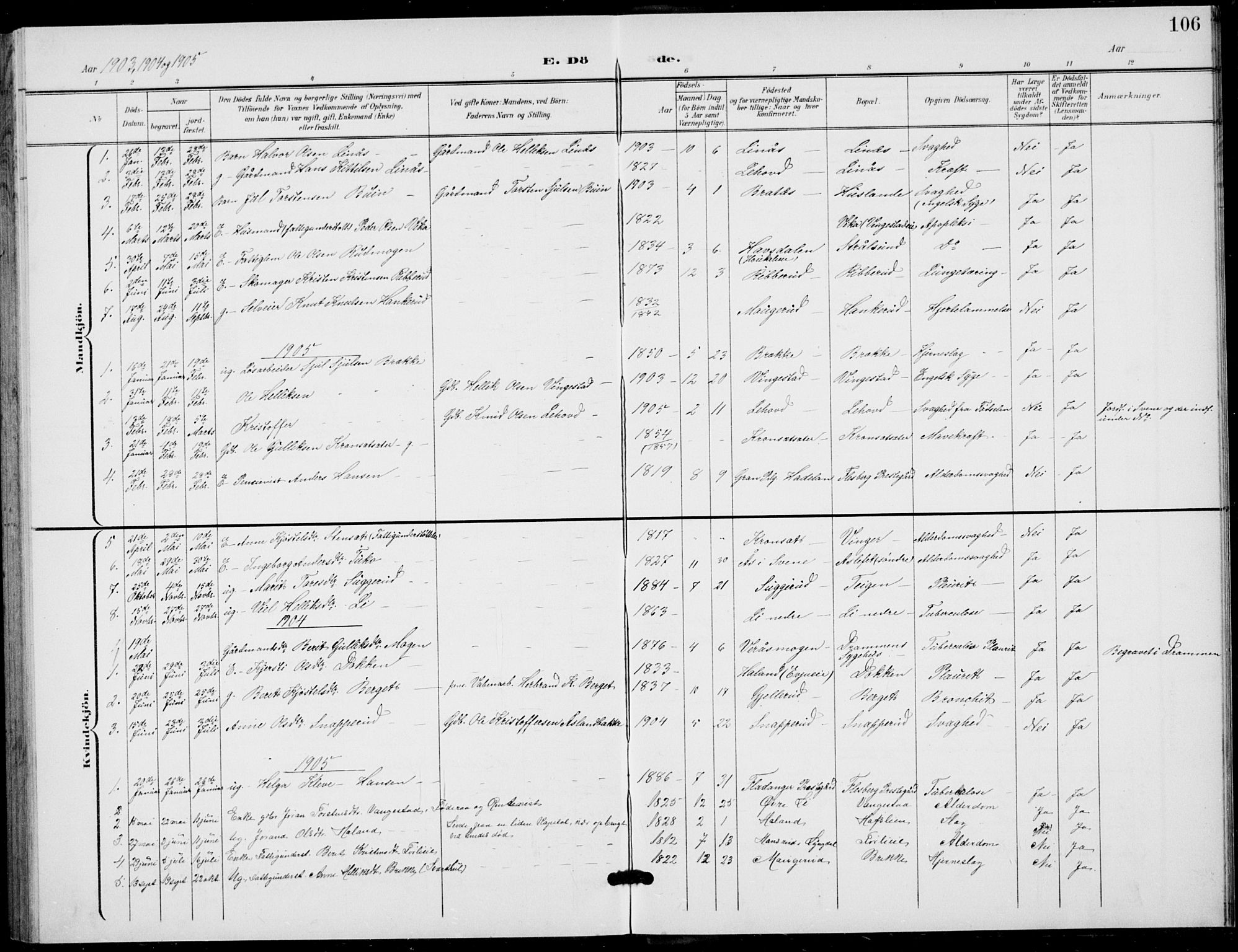 Flesberg kirkebøker, AV/SAKO-A-18/G/Ga/L0005: Parish register (copy) no. I 5, 1899-1908, p. 106