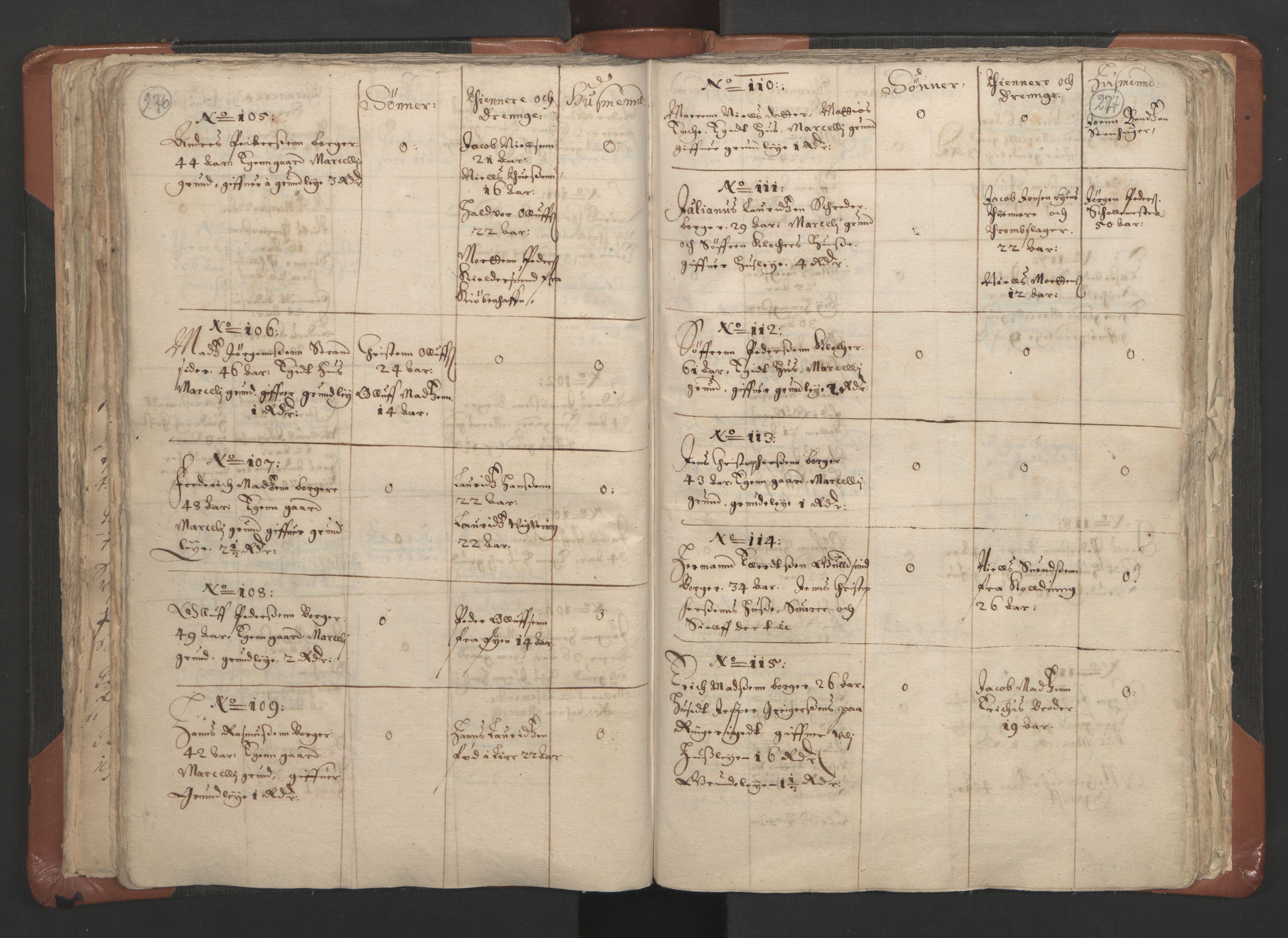 RA, Vicar's Census 1664-1666, no. 9: Bragernes deanery, 1664-1666, p. 276-277