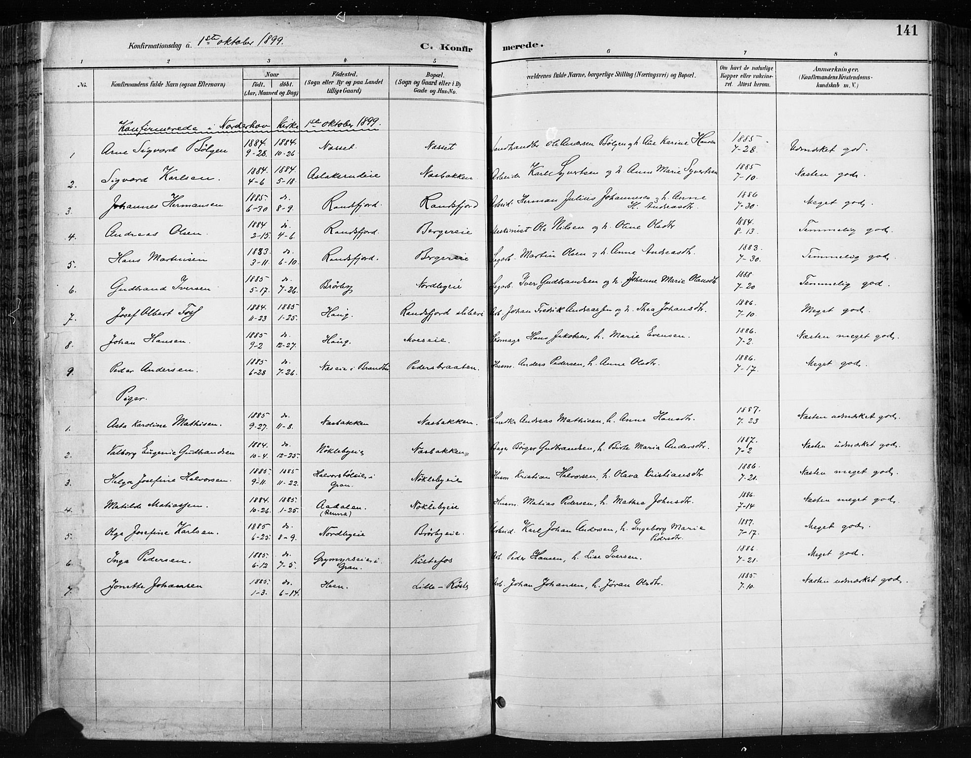 Jevnaker prestekontor, SAH/PREST-116/H/Ha/Haa/L0009: Parish register (official) no. 9, 1891-1901, p. 141