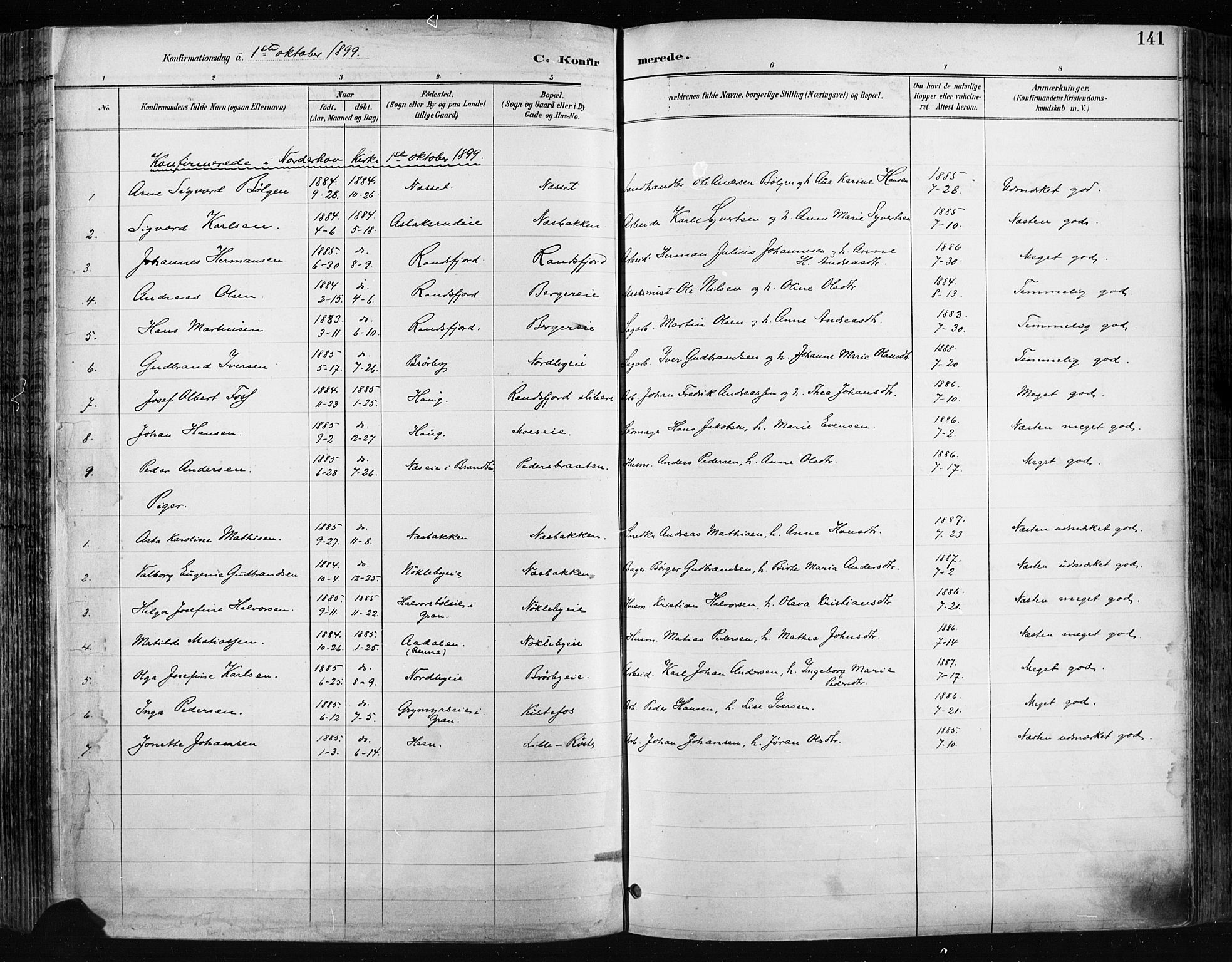 Jevnaker prestekontor, AV/SAH-PREST-116/H/Ha/Haa/L0009: Parish register (official) no. 9, 1891-1901, p. 141