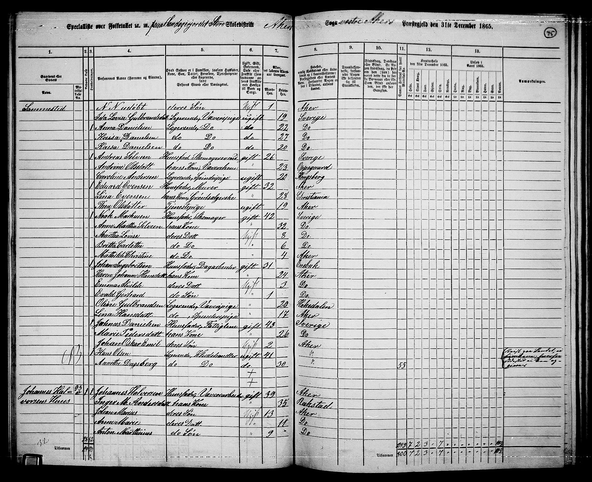 RA, 1865 census for Vestre Aker, 1865, p. 243