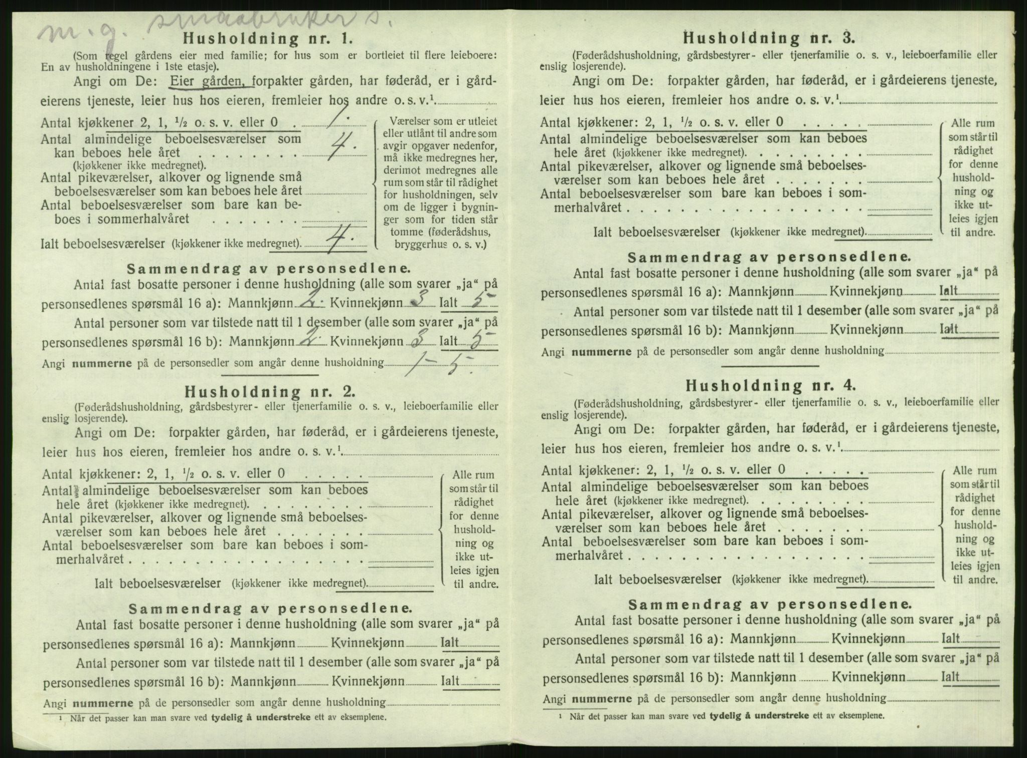 SAT, 1920 census for Hopen, 1920, p. 297