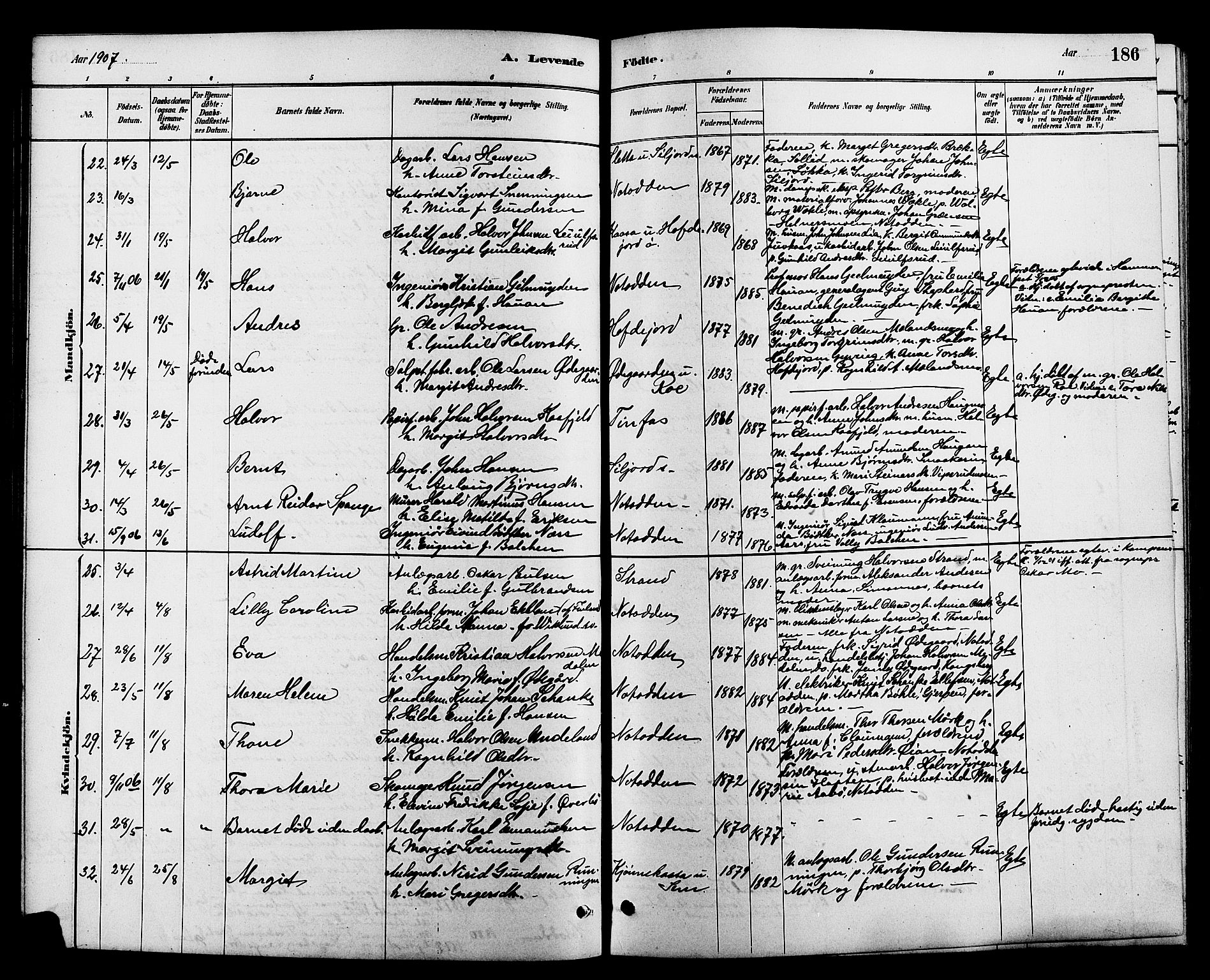 Heddal kirkebøker, AV/SAKO-A-268/G/Ga/L0002: Parish register (copy) no. I 2, 1879-1908, p. 186