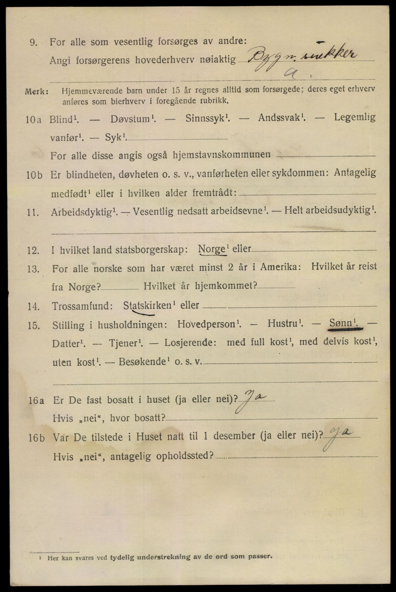 SAKO, 1920 census for Larvik, 1920, p. 20673