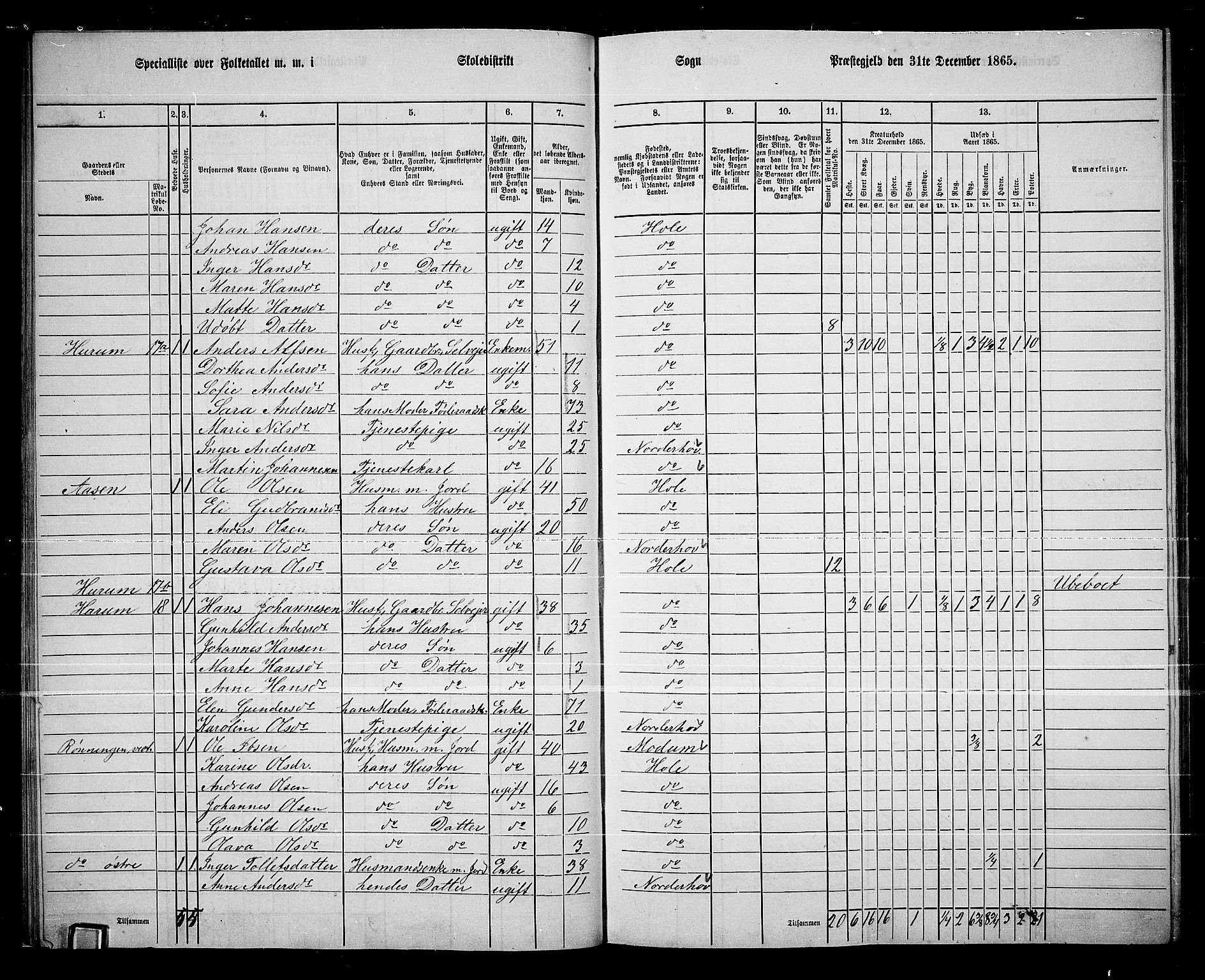 RA, 1865 census for Hole, 1865, p. 21