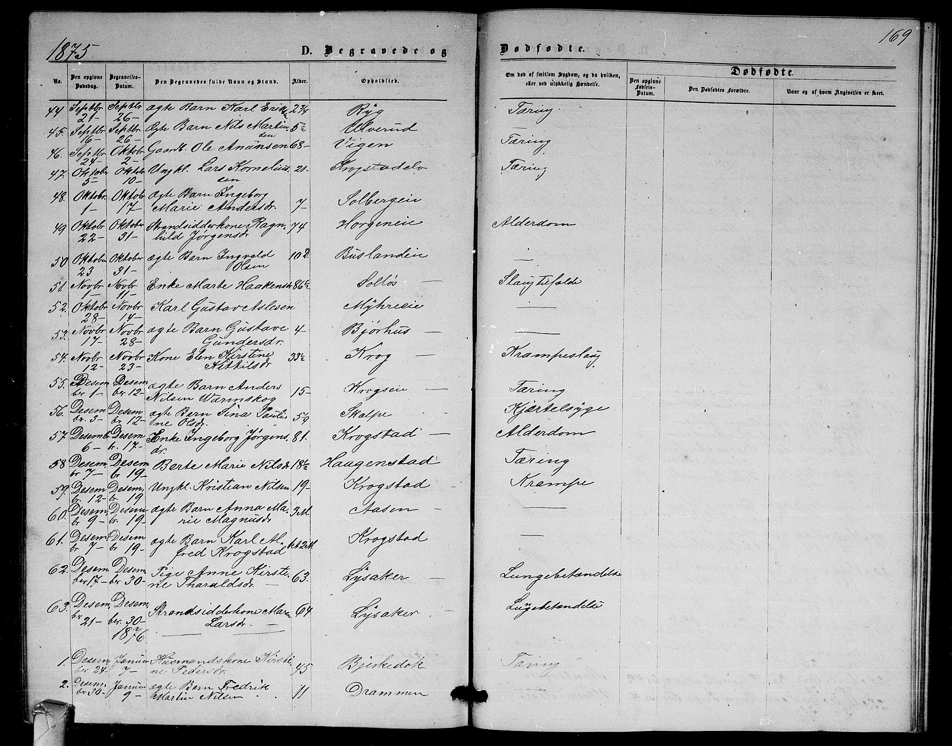 Nedre Eiker kirkebøker, AV/SAKO-A-612/G/Ga/L0001: Parish register (copy) no. 1, 1873-1880, p. 169